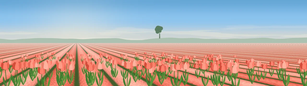 Coral Tulip Field dual monitor wallpaper, 7680 × 2160