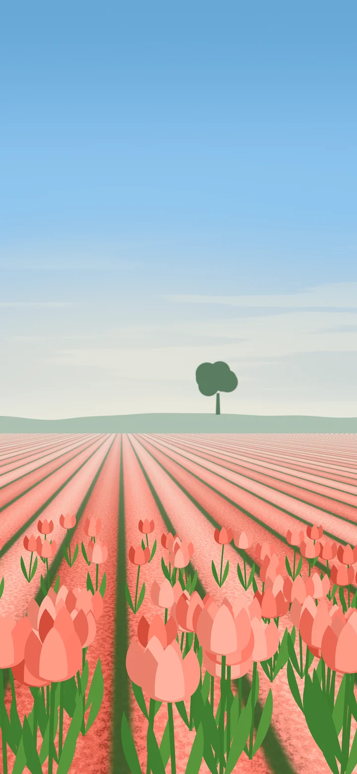 Coral Tulip Field wallpaper for iPhone and Android