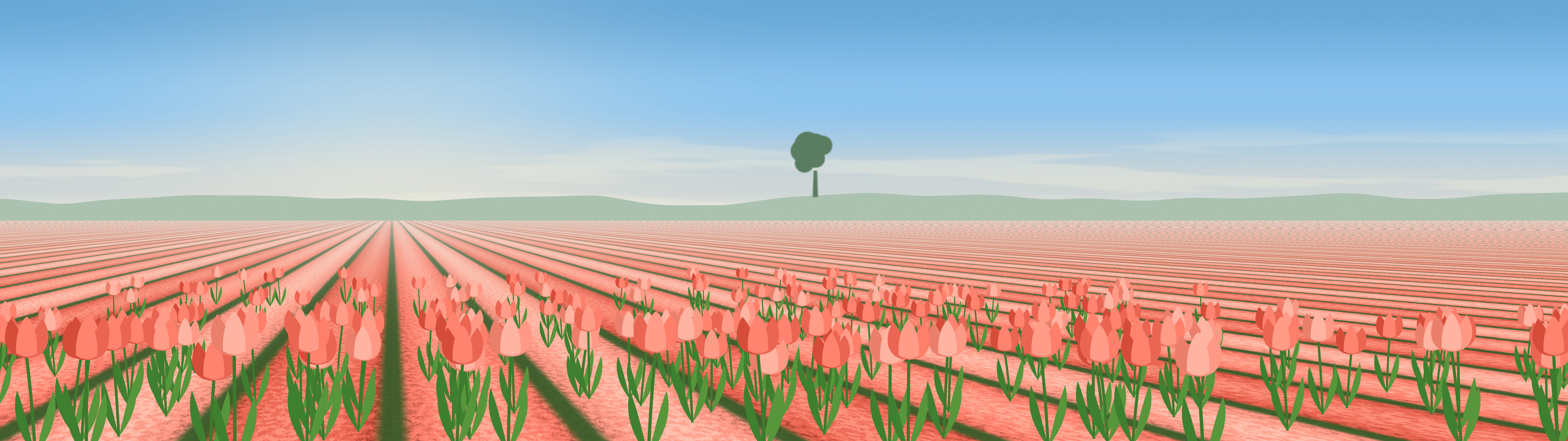 Coral Tulip Field dual monitor wallpaper, 7680 × 2160