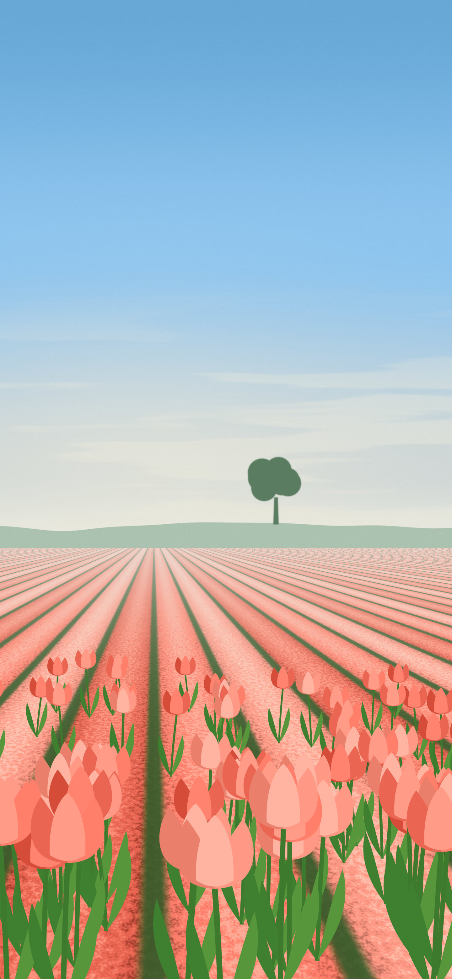 Coral Tulip Field wallpaper for iPhone and Android