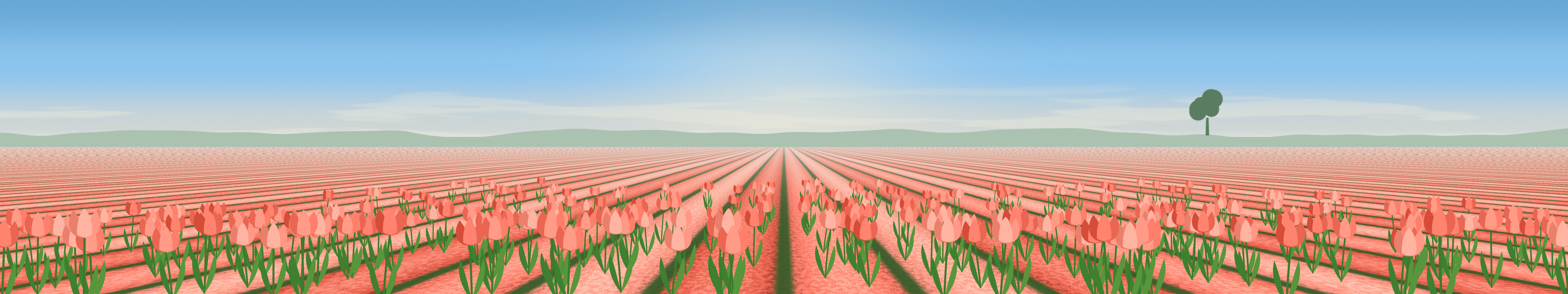 Coral Tulip Field triple monitor wallpaper, 7680 × 1440