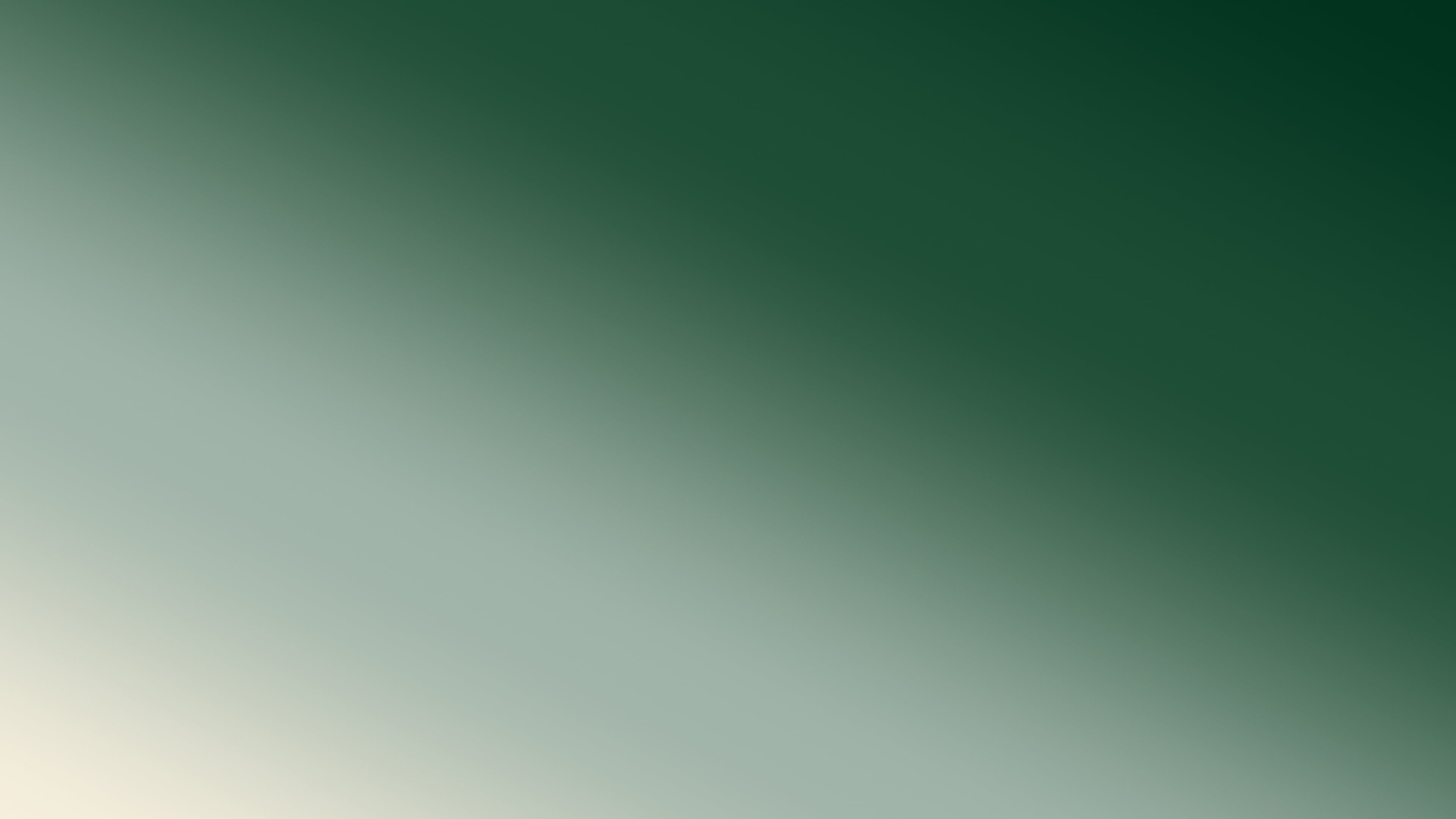 Dark Green and Cream Diagonal Ombre Gradient desktop wallpaper in 4K
