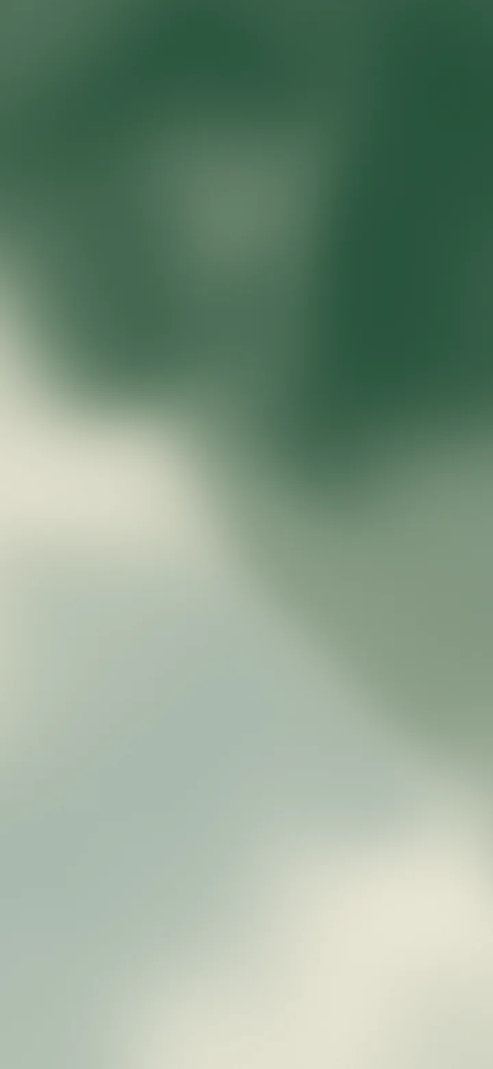 Dark Green and Cream Mesh Gradient wallpaper for iPhone and Android