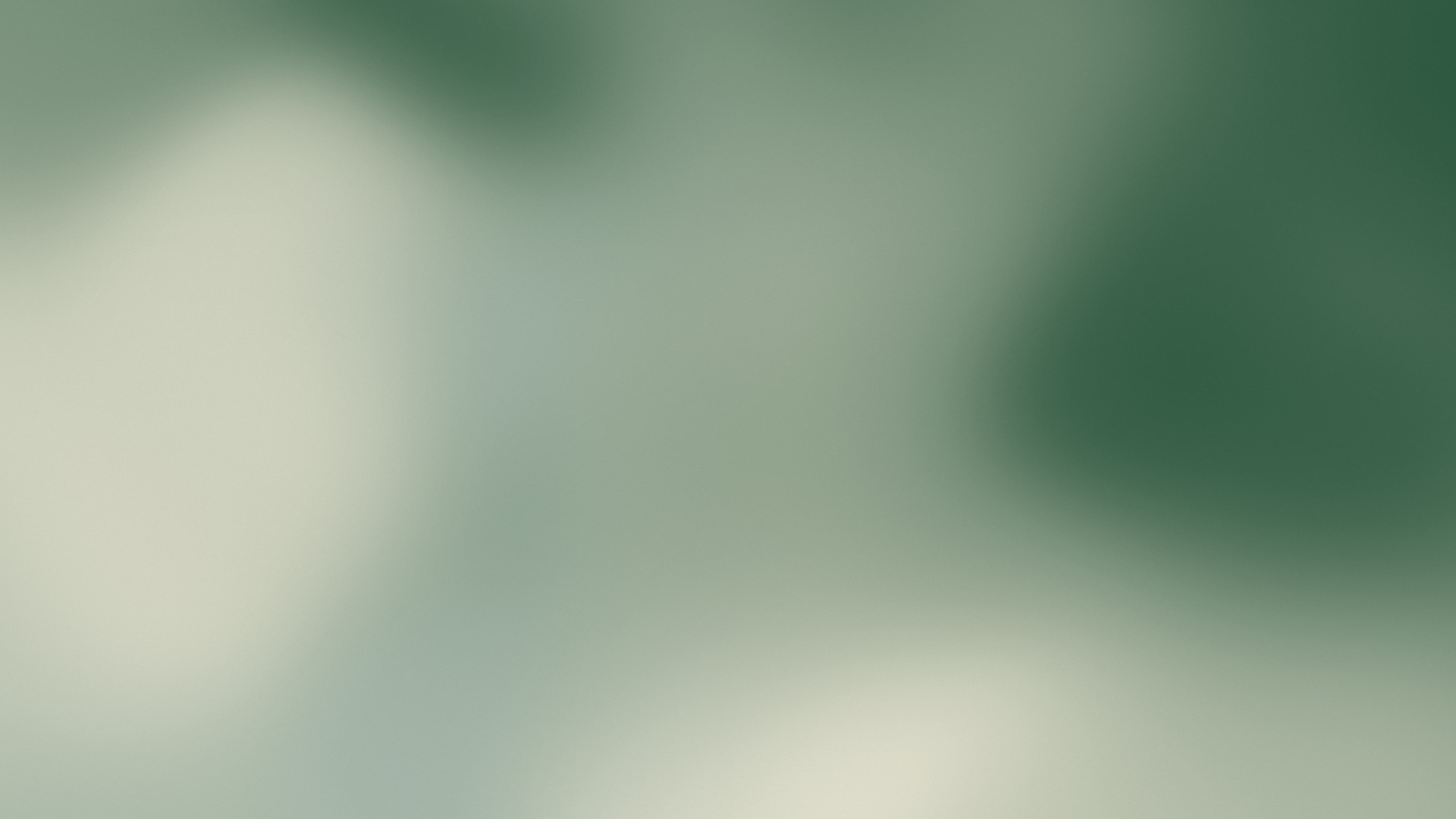 Dark Green and Cream Mesh Gradient desktop wallpaper in 4K