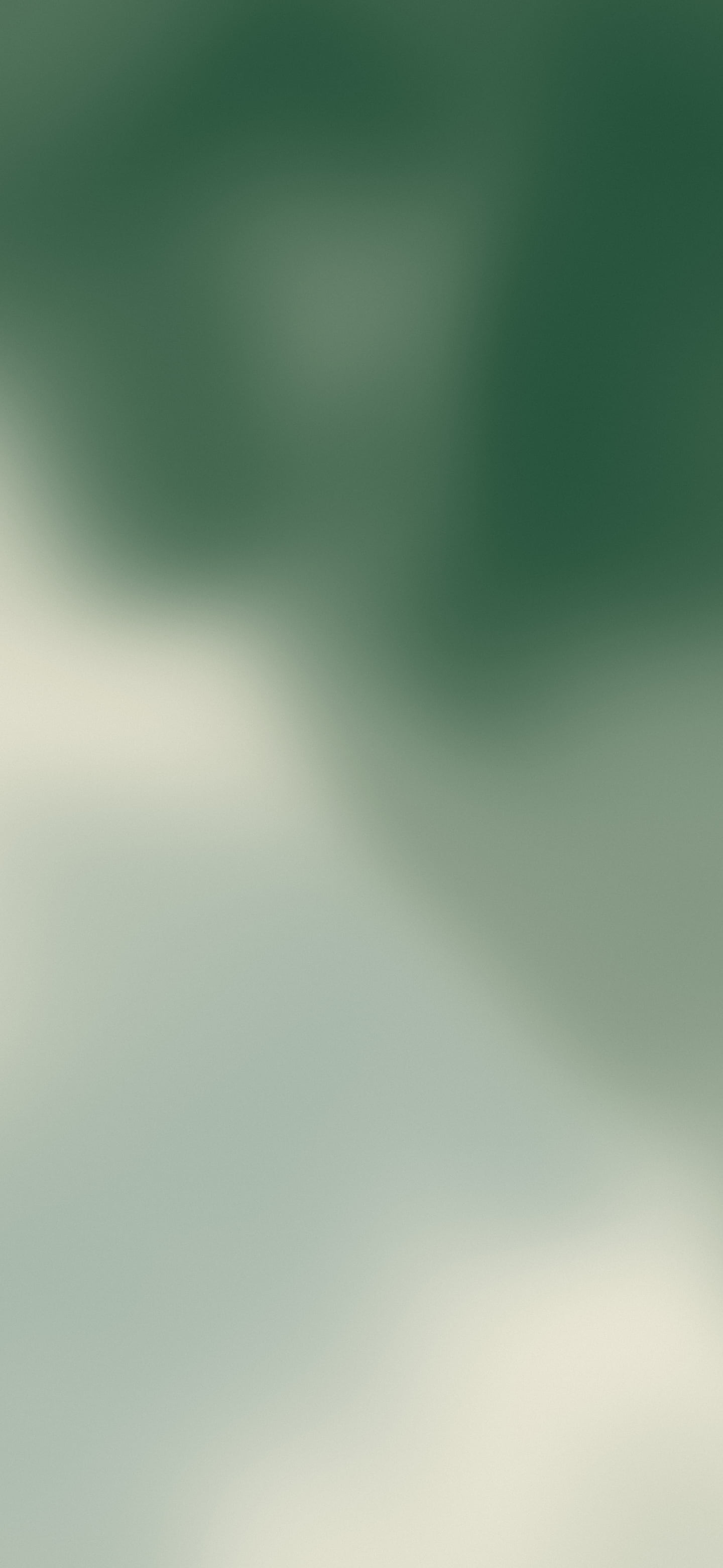 Dark Green and Cream Mesh Gradient wallpaper for iPhone and Android