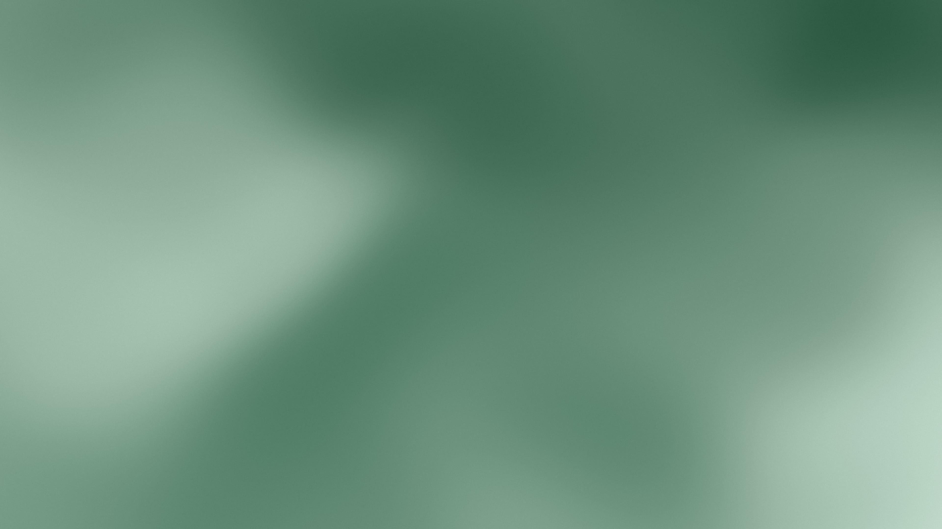 Dark Green and Ivory Mesh Gradient desktop wallpaper in 4K