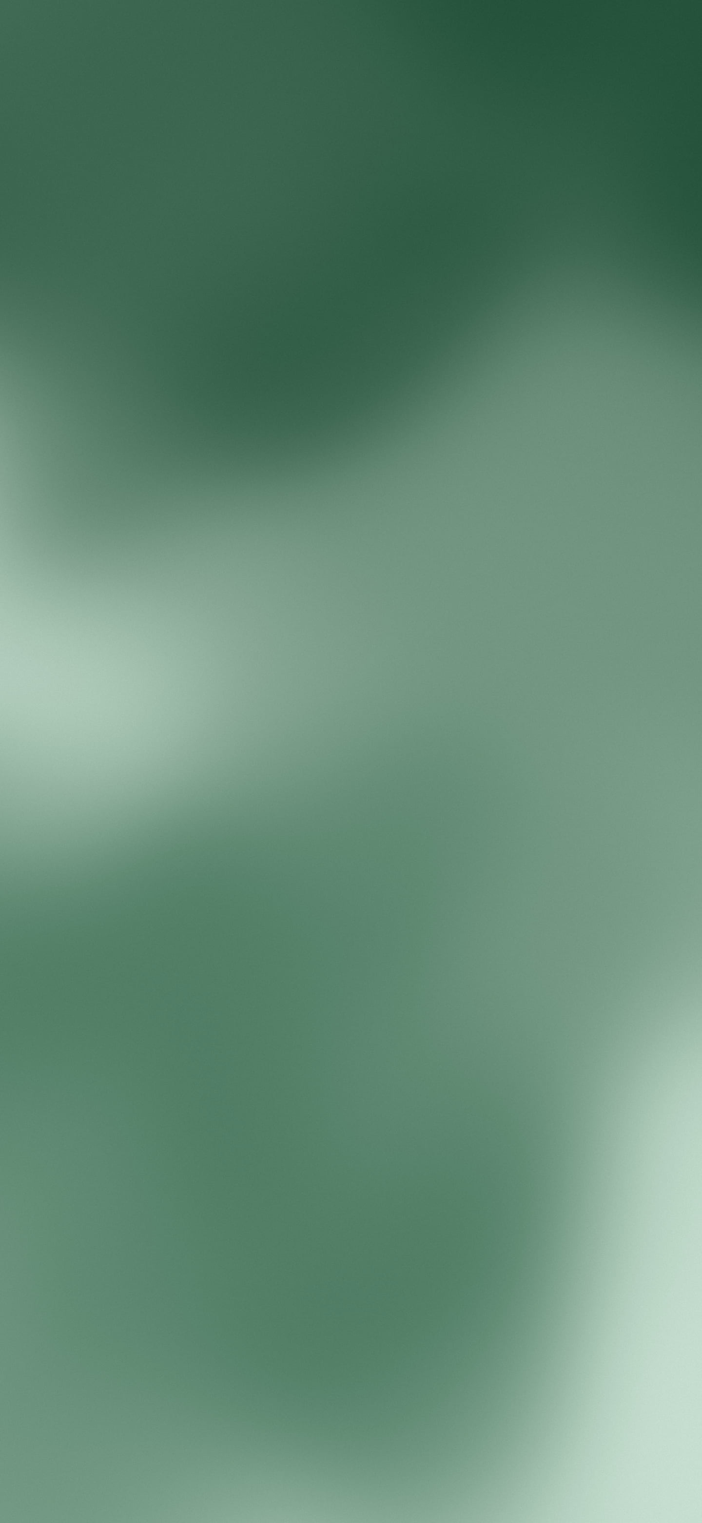 Dark Green and Ivory Mesh Gradient wallpaper for iPhone and Android
