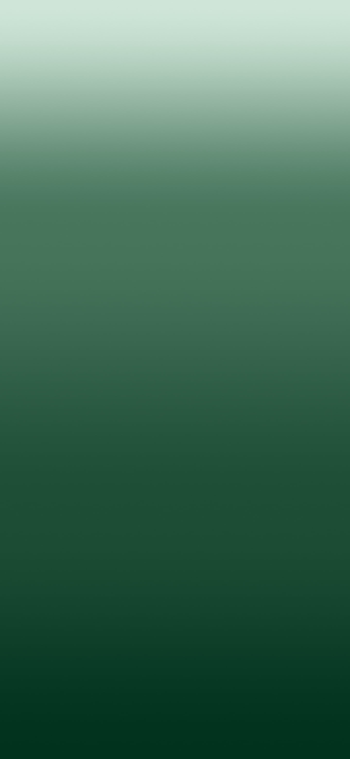 Dark Green and Ivory Ombre Gradient wallpaper for iPhone and Android