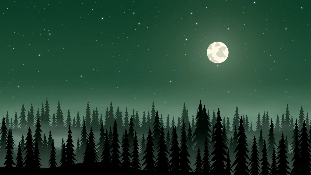 Dark Green Forest at Night desktop wallpaper in 4K