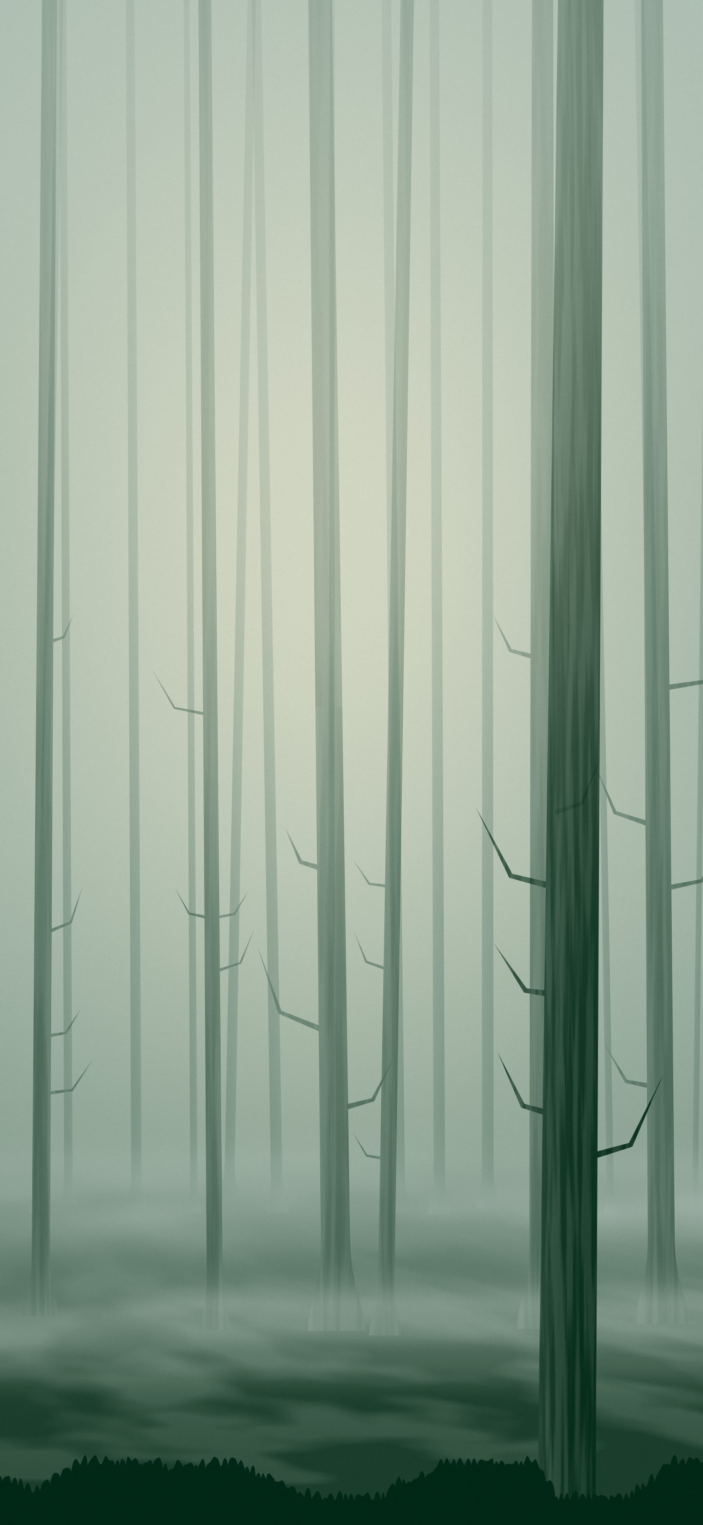 Dark Green Forest Trees wallpaper for iPhone and Android