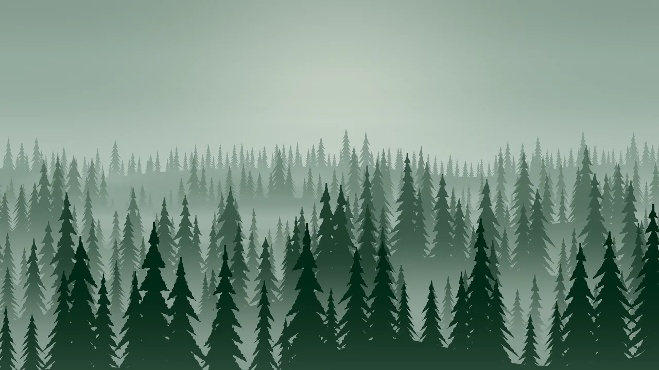 Dark Green Misty Pine Forest desktop wallpaper in 4K