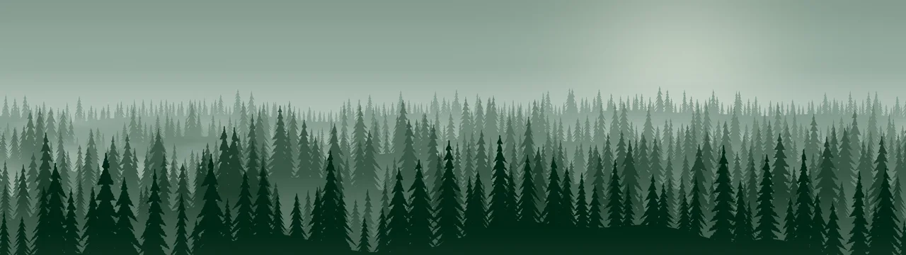 Dark Green Misty Pine Forest dual monitor wallpaper, 7680 × 2160