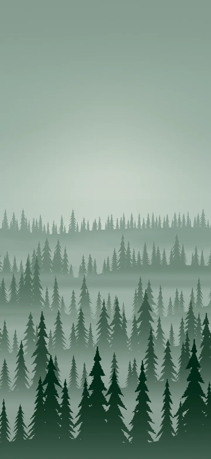 Dark Green Misty Pine Forest wallpaper for iPhone and Android