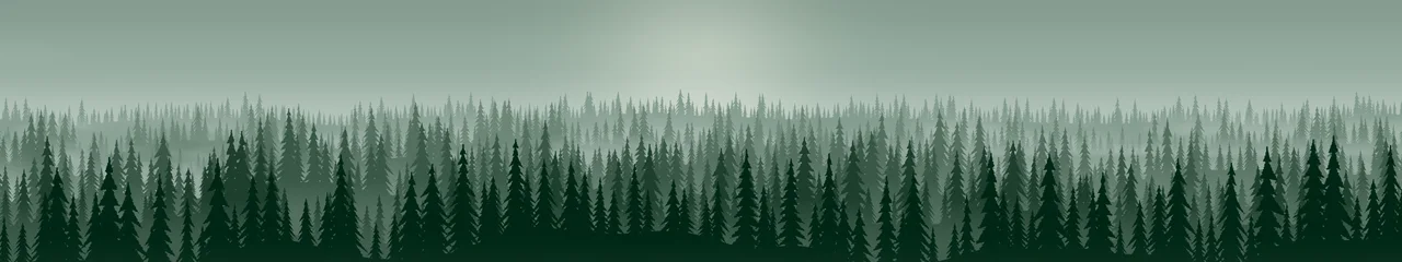 Dark Green Misty Pine Forest triple monitor wallpaper, 7680 × 1440