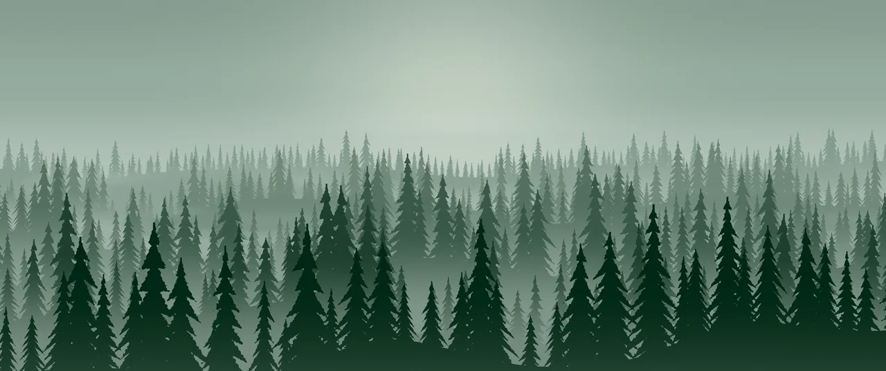 Dark Green Misty Pine Forest ultrawide wallpaper, 3440 × 1440