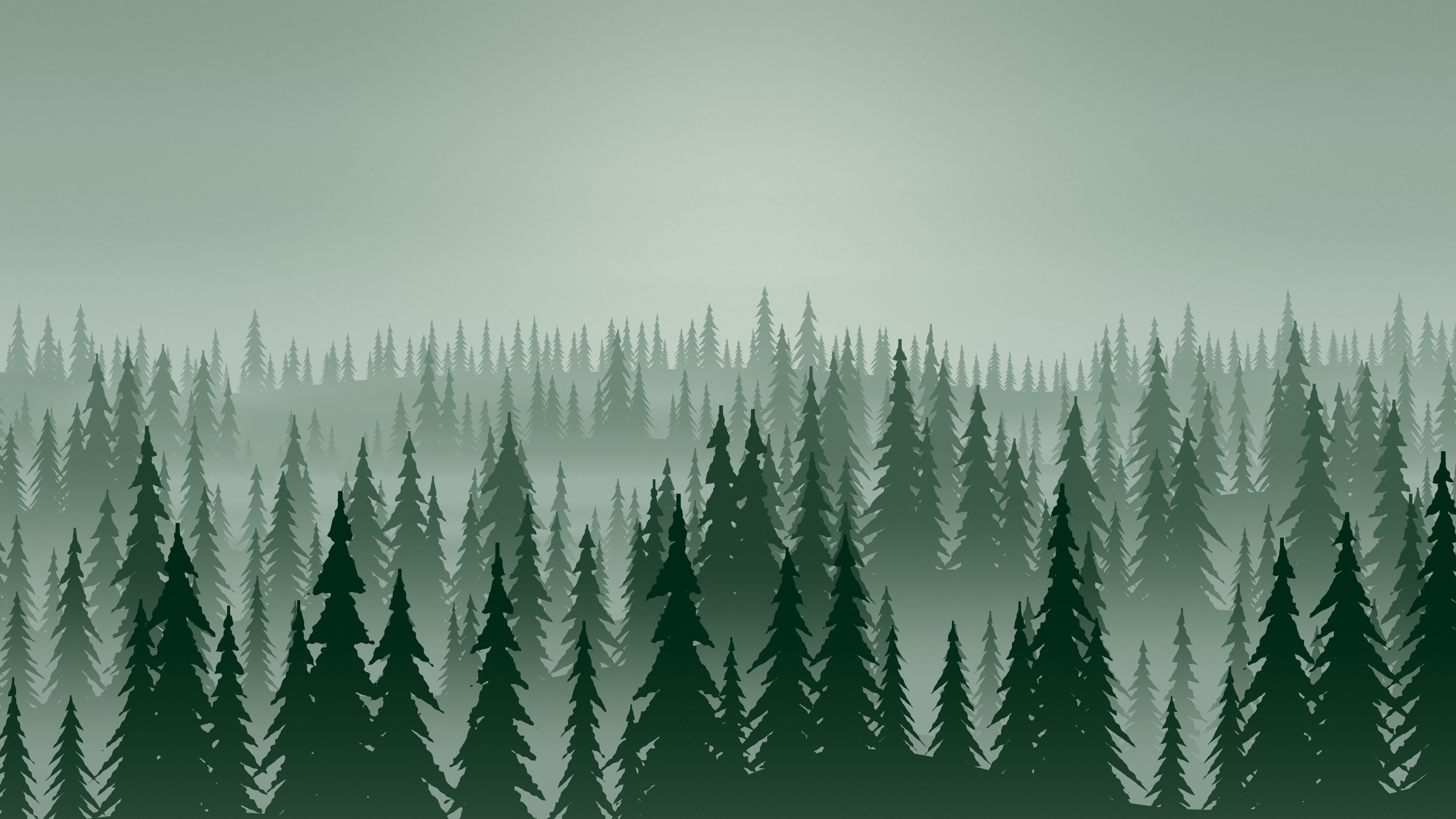 Dark Green Misty Pine Forest desktop wallpaper in 4K
