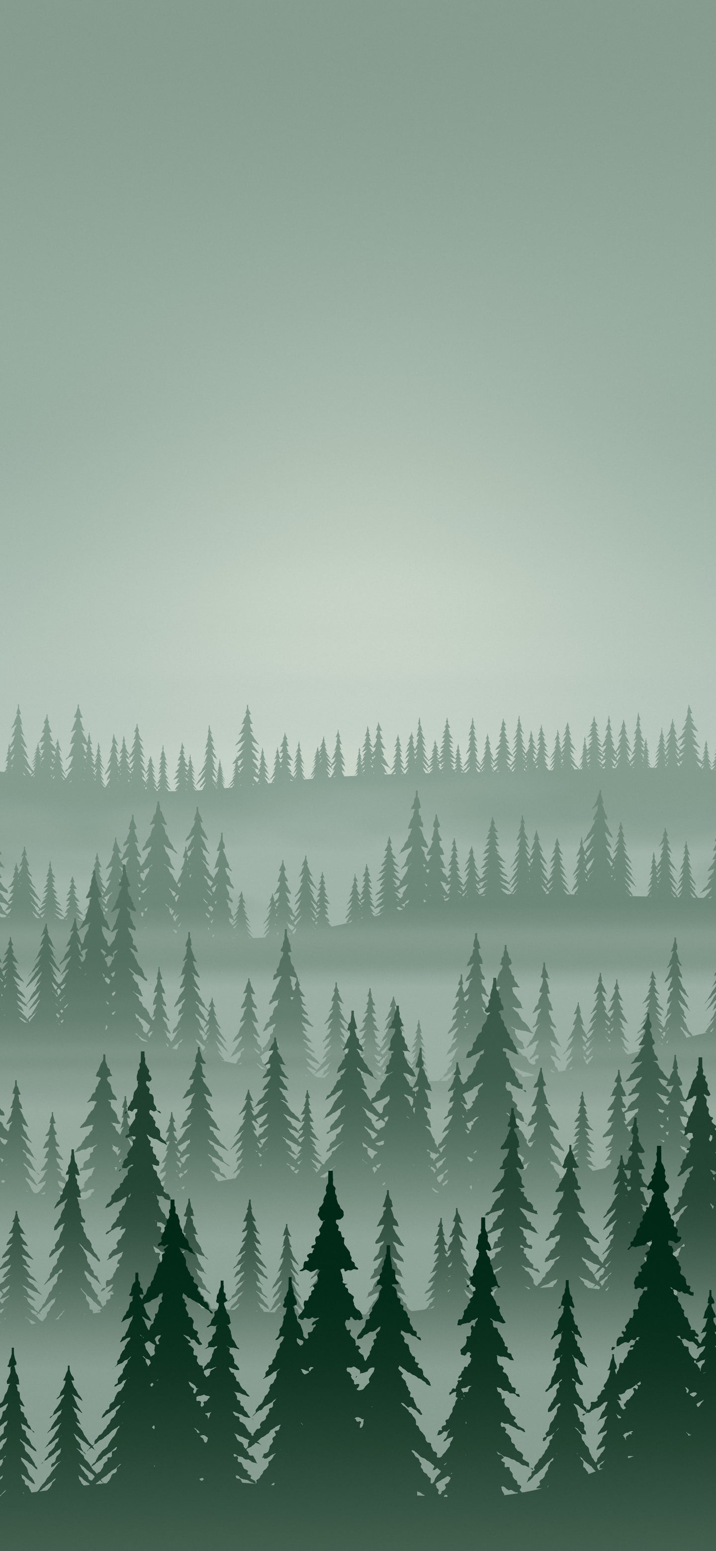 Dark Green Misty Pine Forest wallpaper for iPhone and Android