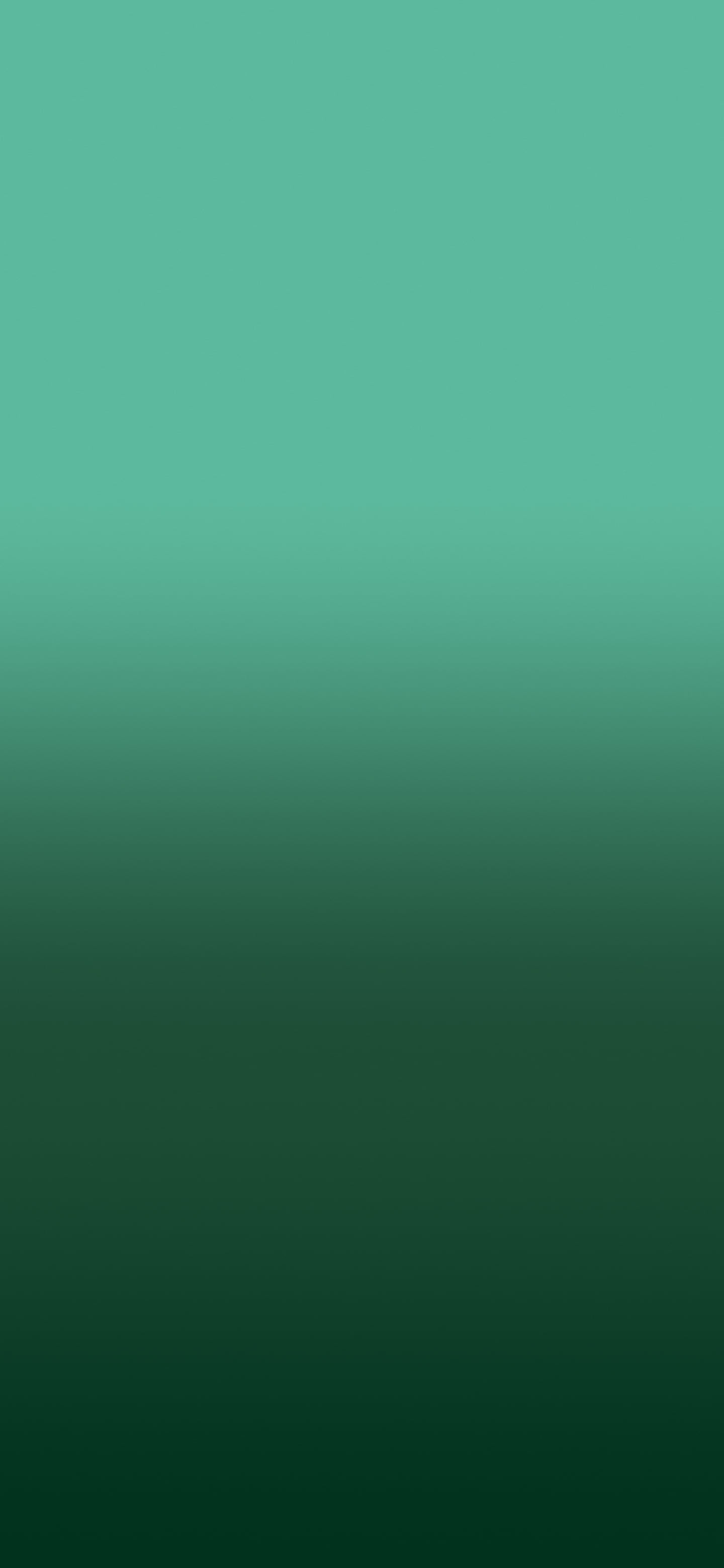 Dark Green Ombre Gradient wallpaper for iPhone and Android