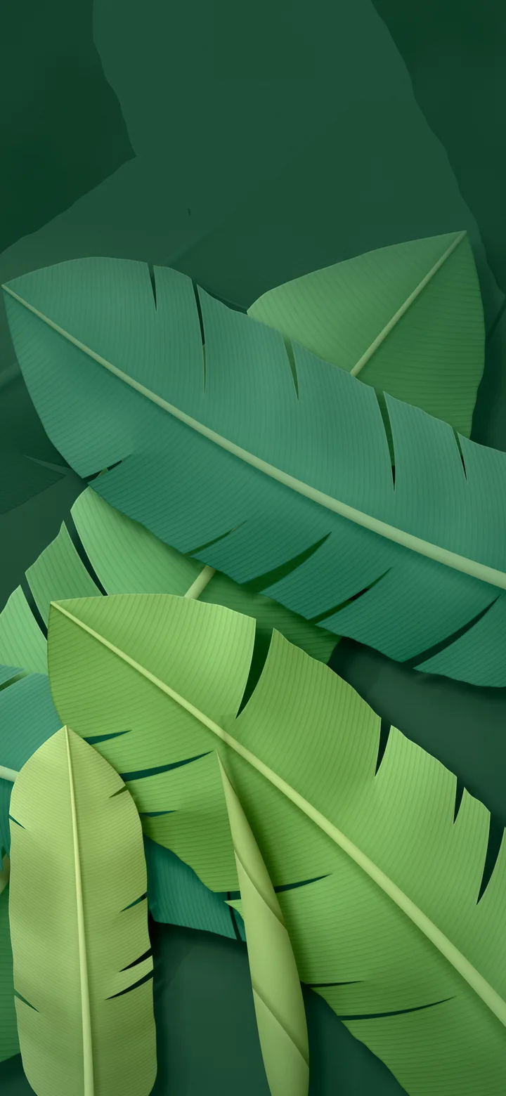Dark Green Paper Banana Leaves wallpaper for iPhone and Android