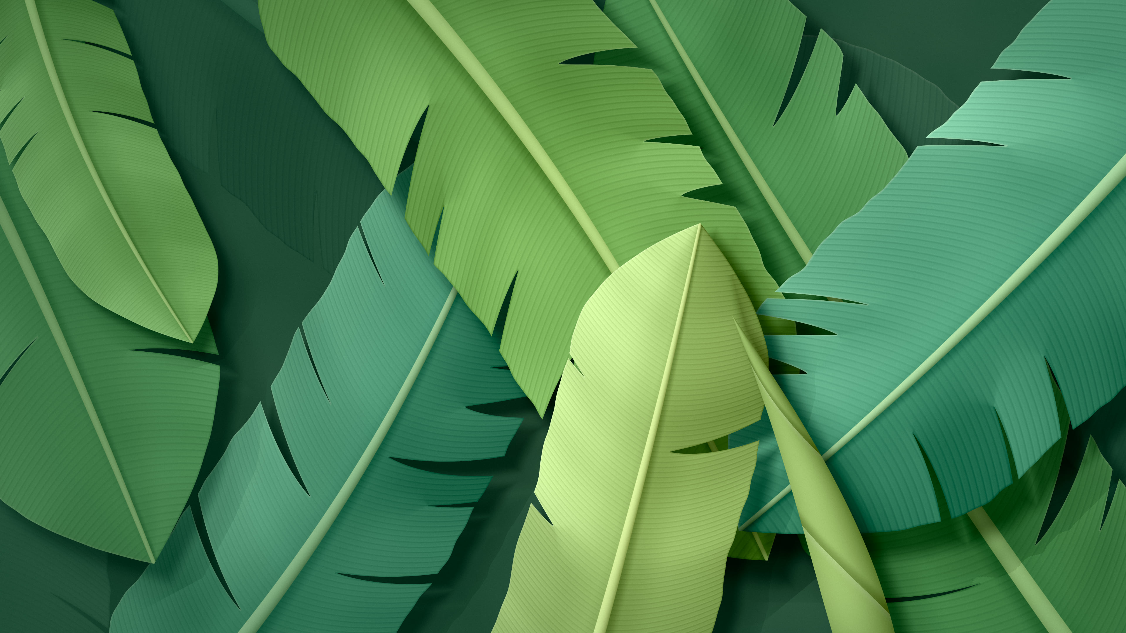 Dark Green Paper Banana Leaves desktop wallpaper in 4K