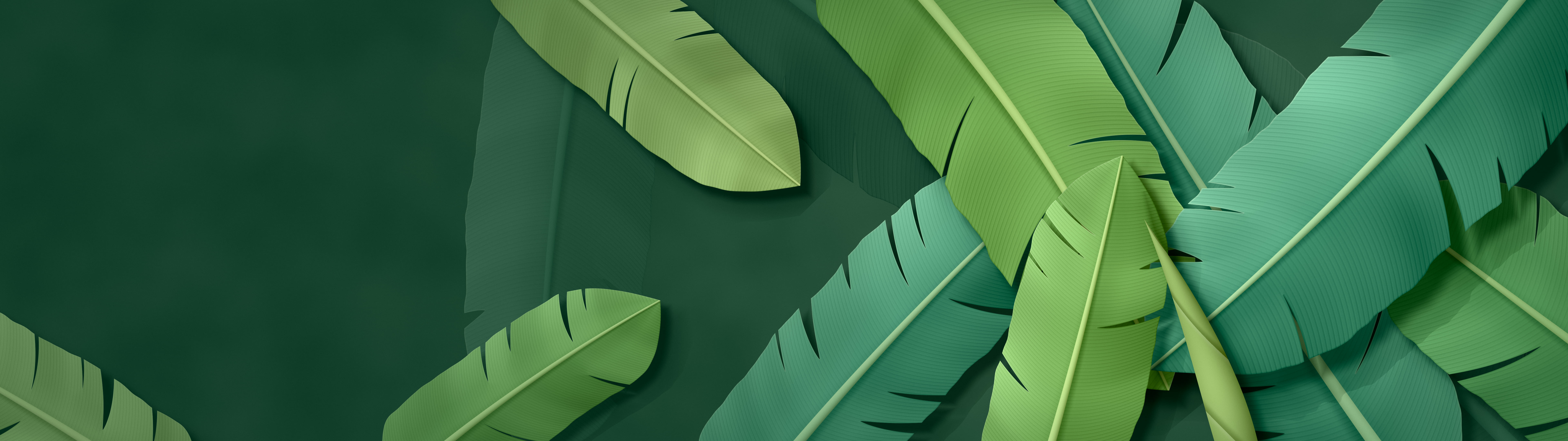 Dark Green Paper Banana Leaves dual monitor wallpaper, 7680 × 2160