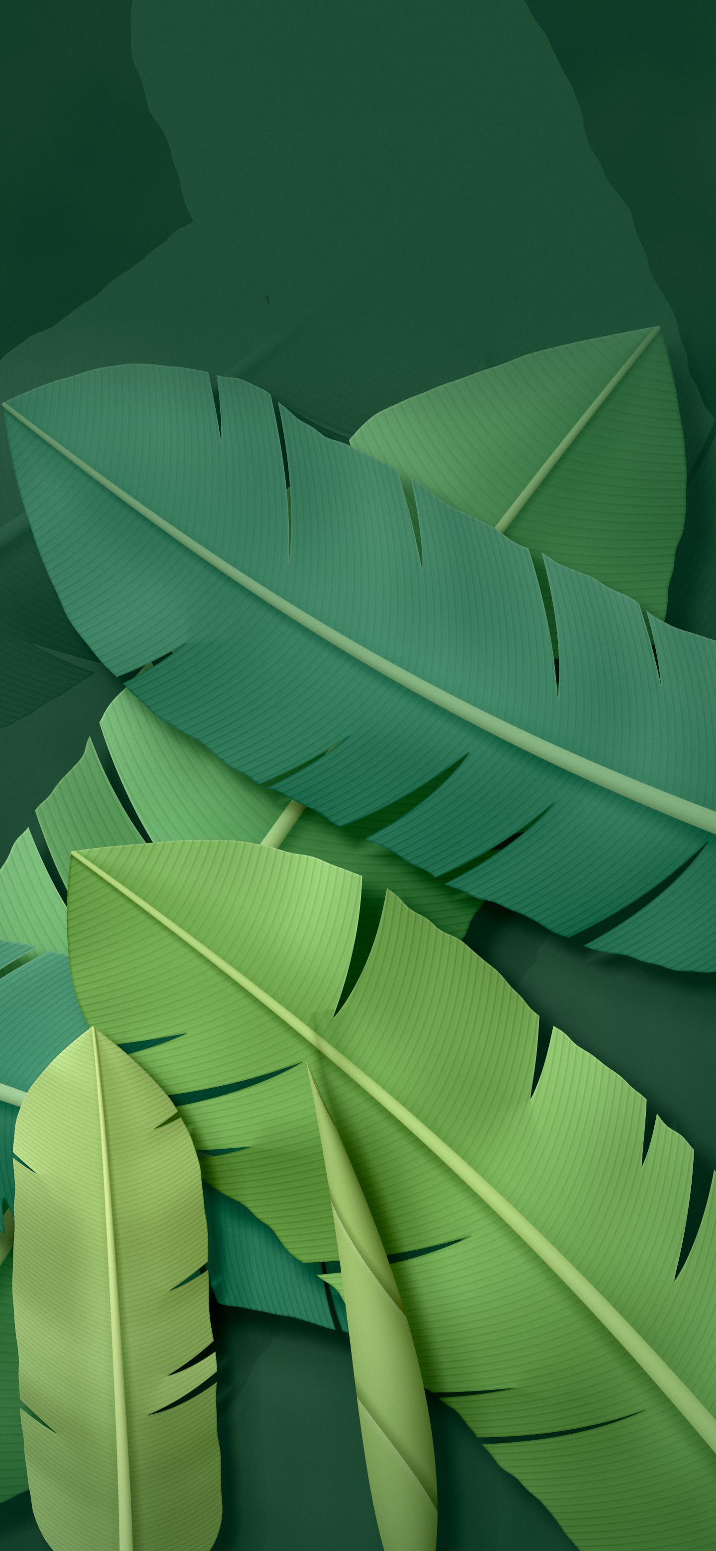 Dark Green Paper Banana Leaves wallpaper for iPhone and Android