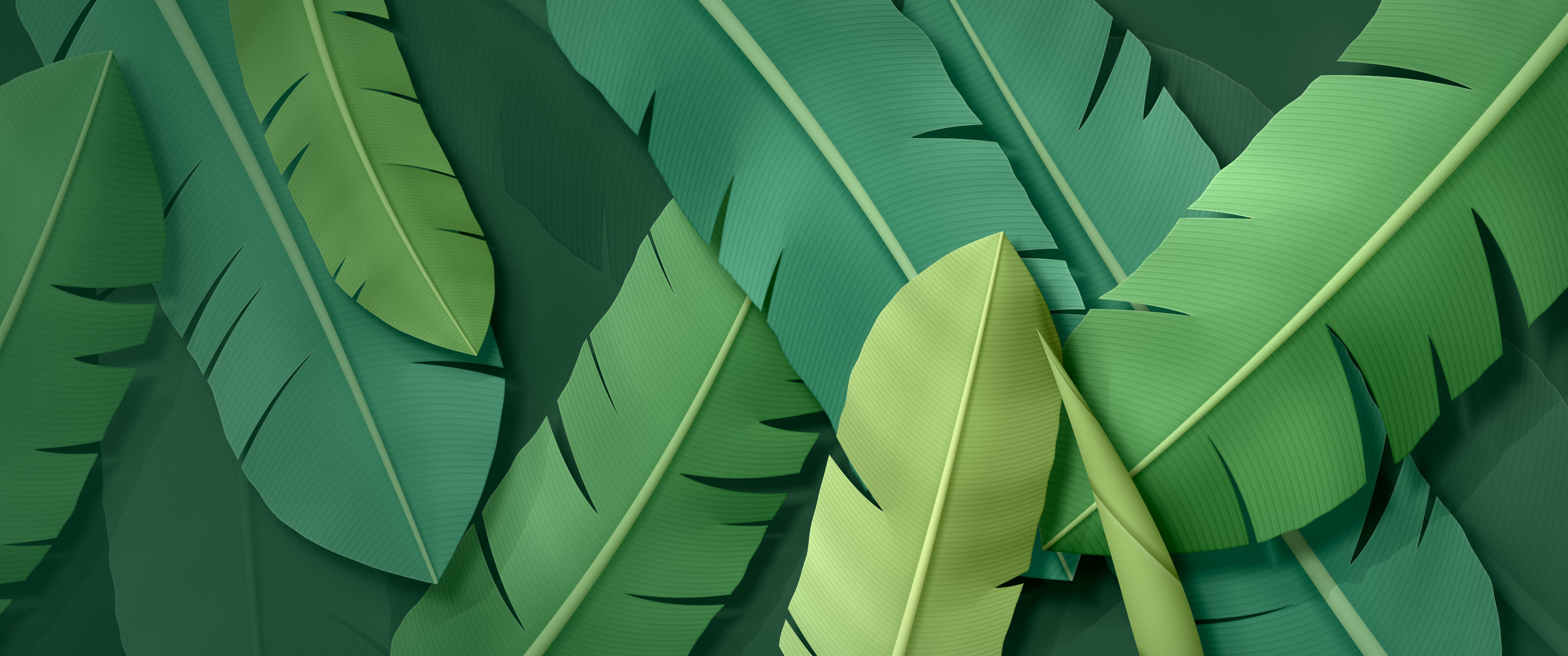 Dark Green Paper Banana Leaves ultrawide wallpaper, 3440 × 1440