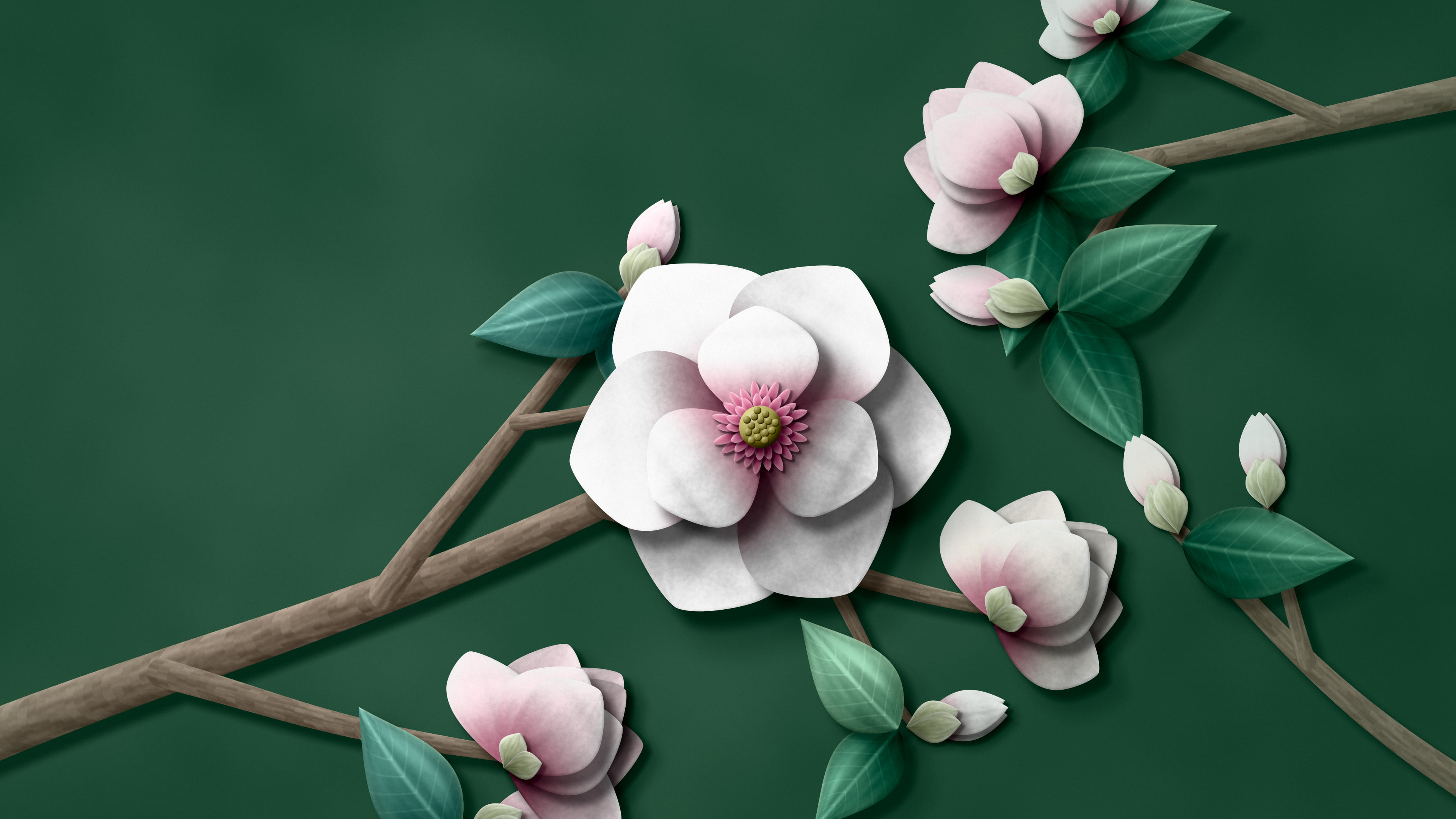 Dark Green Paper Magnolia Branch desktop wallpaper in 4K