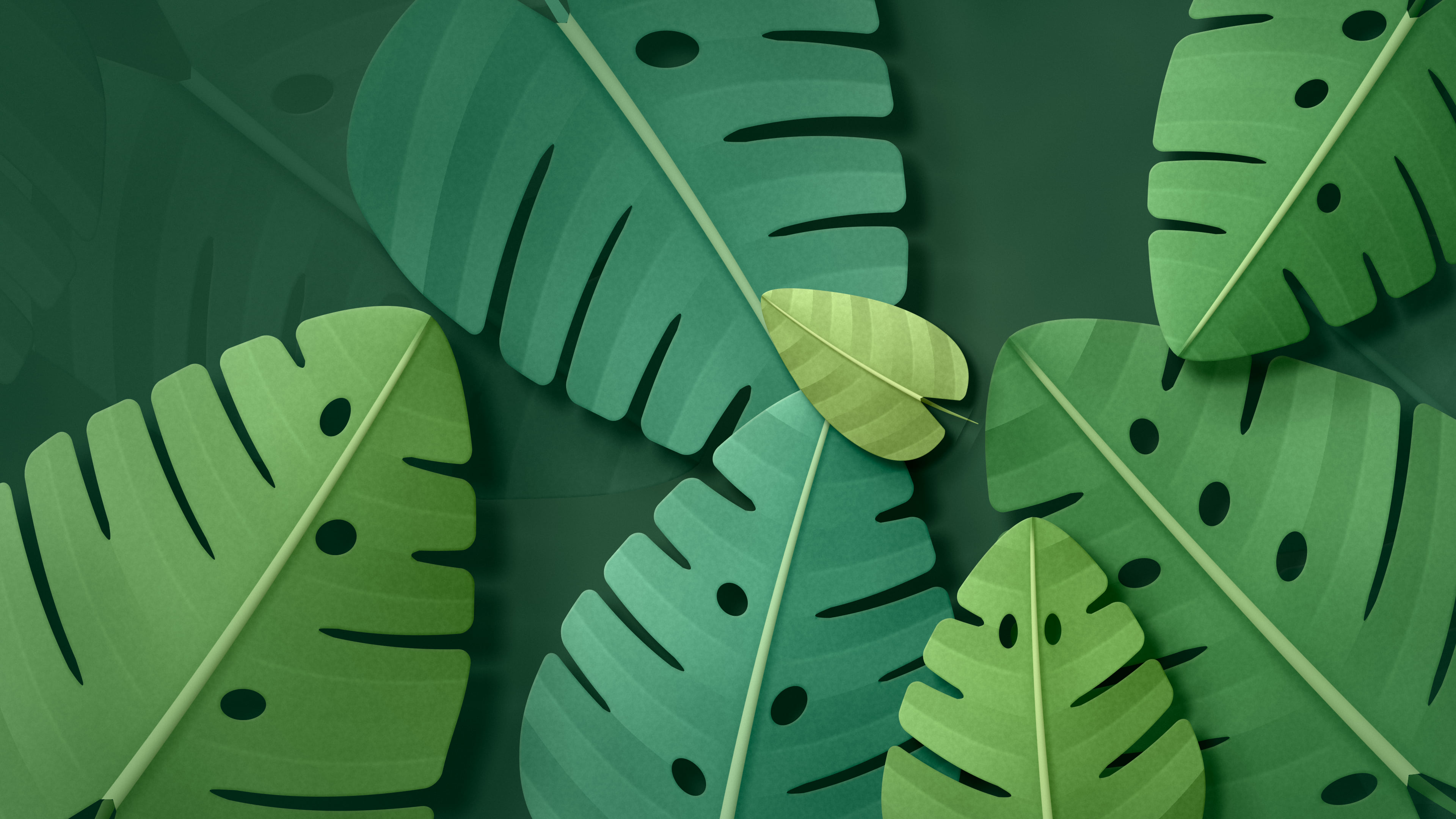 Dark Green Paper Monstera Leaves desktop wallpaper in 4K