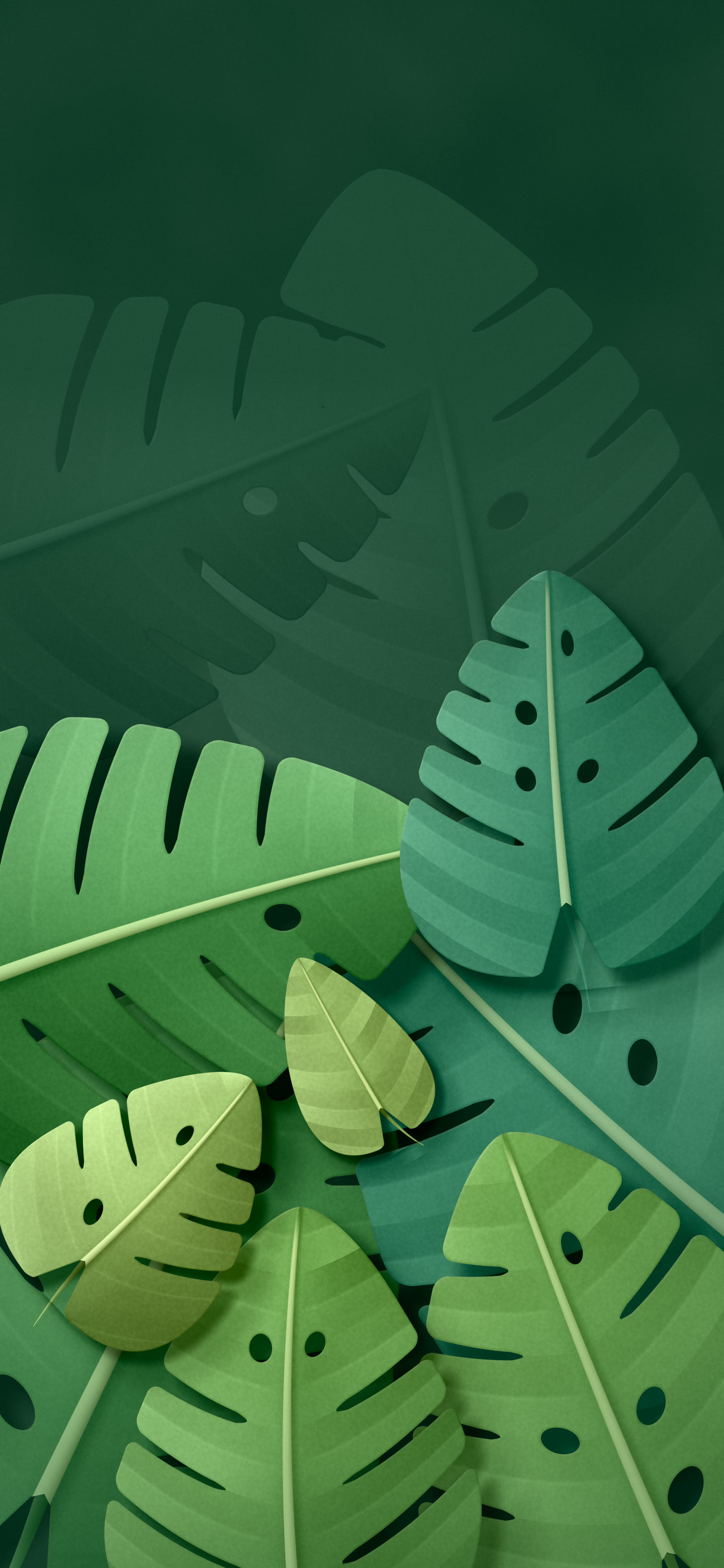 Dark Green Paper Monstera Leaves wallpaper for iPhone and Android