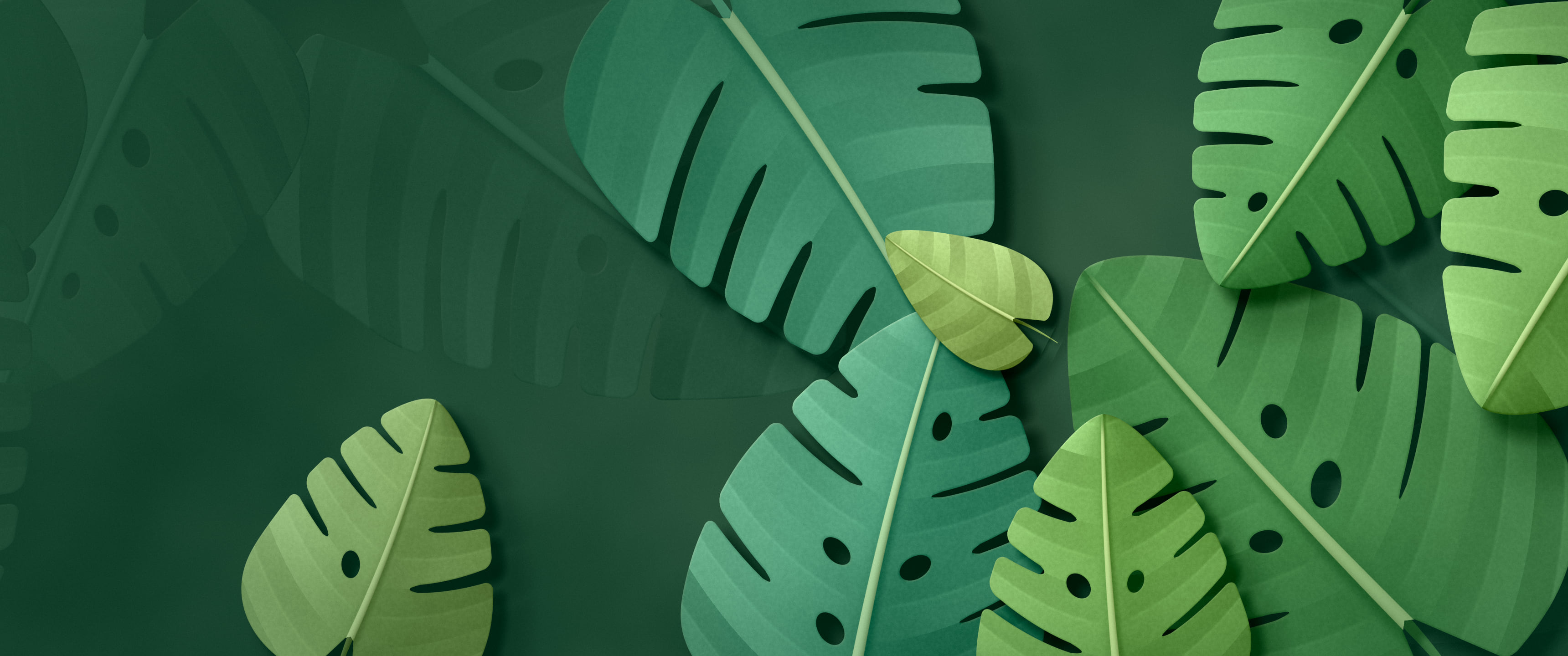 Dark Green Paper Monstera Leaves ultrawide wallpaper, 3440 × 1440