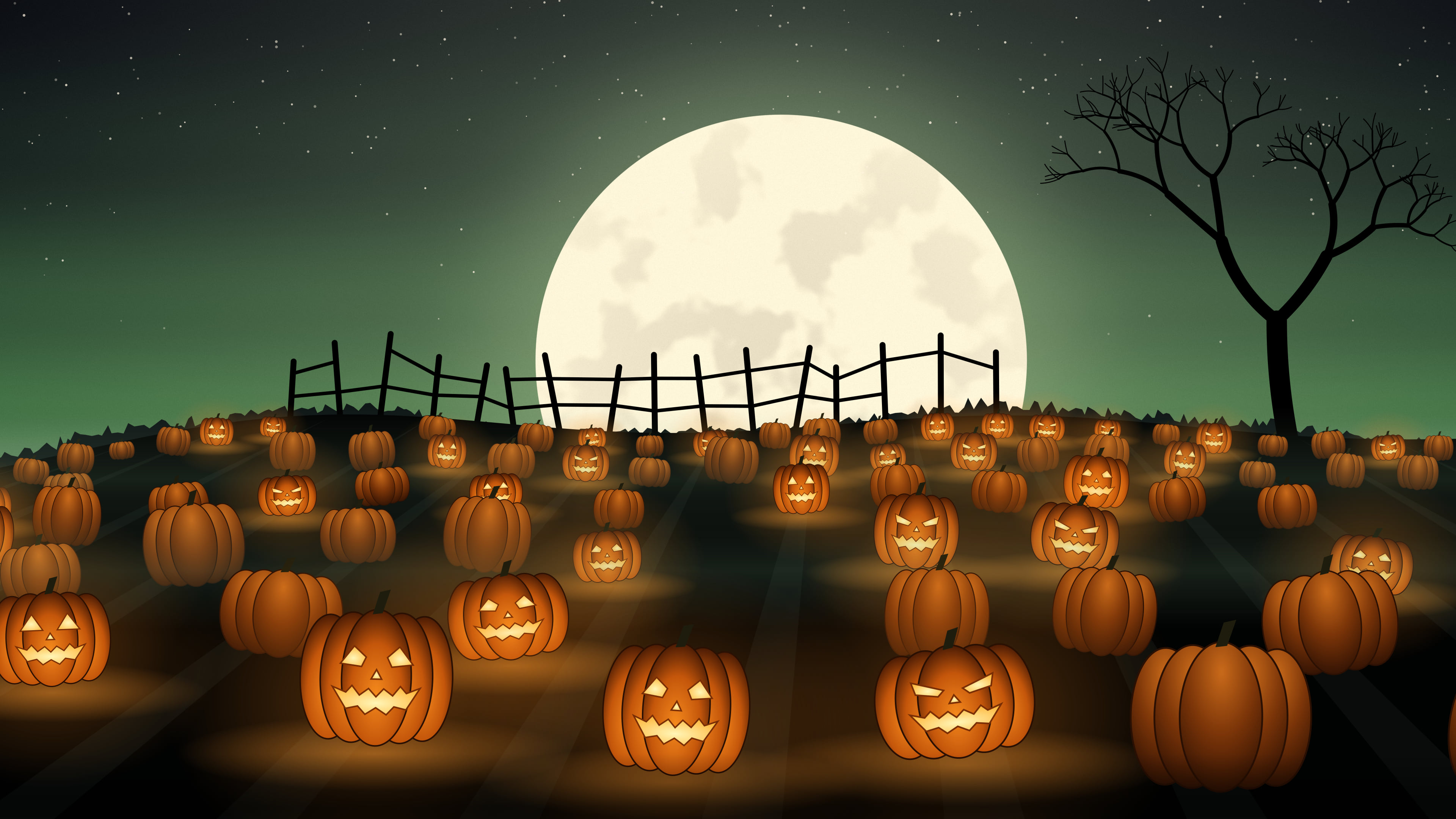 Dark Green Pumpkin Patch desktop wallpaper in 4K