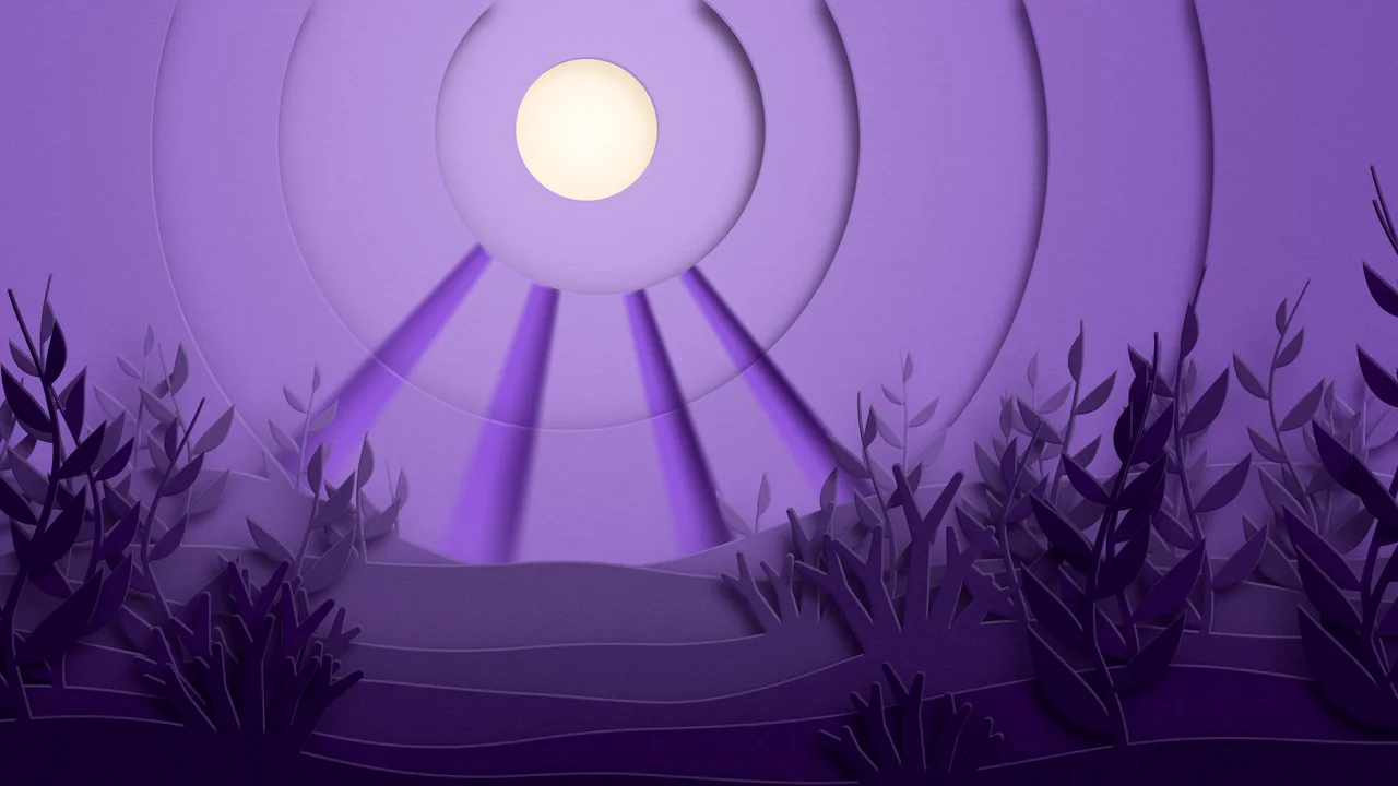 Dark Purple 3D Paper Cut Underwater Kelp desktop wallpaper in 4K