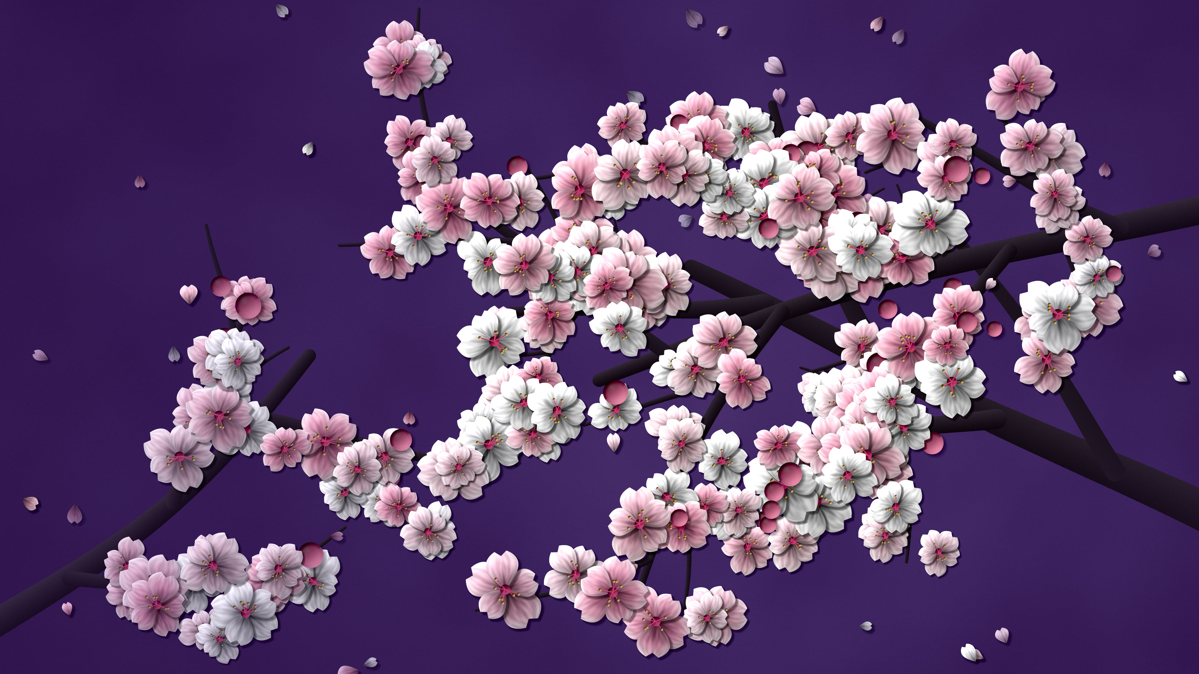 Dark Purple Blossom Branch Pattern desktop wallpaper in 4K