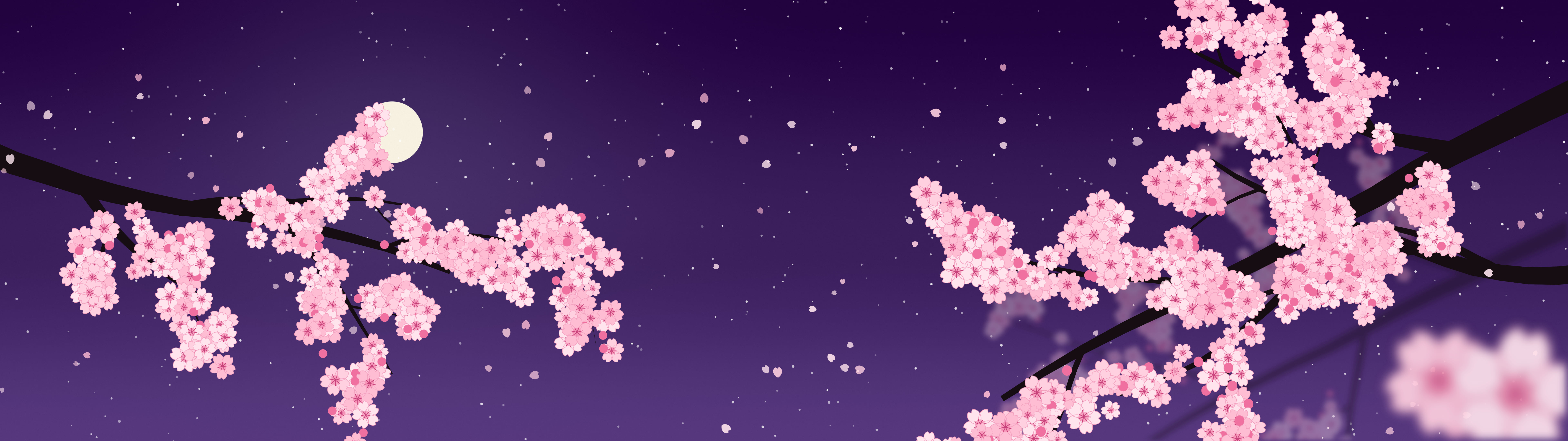 Dark Purple Cherry Blossom Branch dual monitor wallpaper, 7680 × 2160