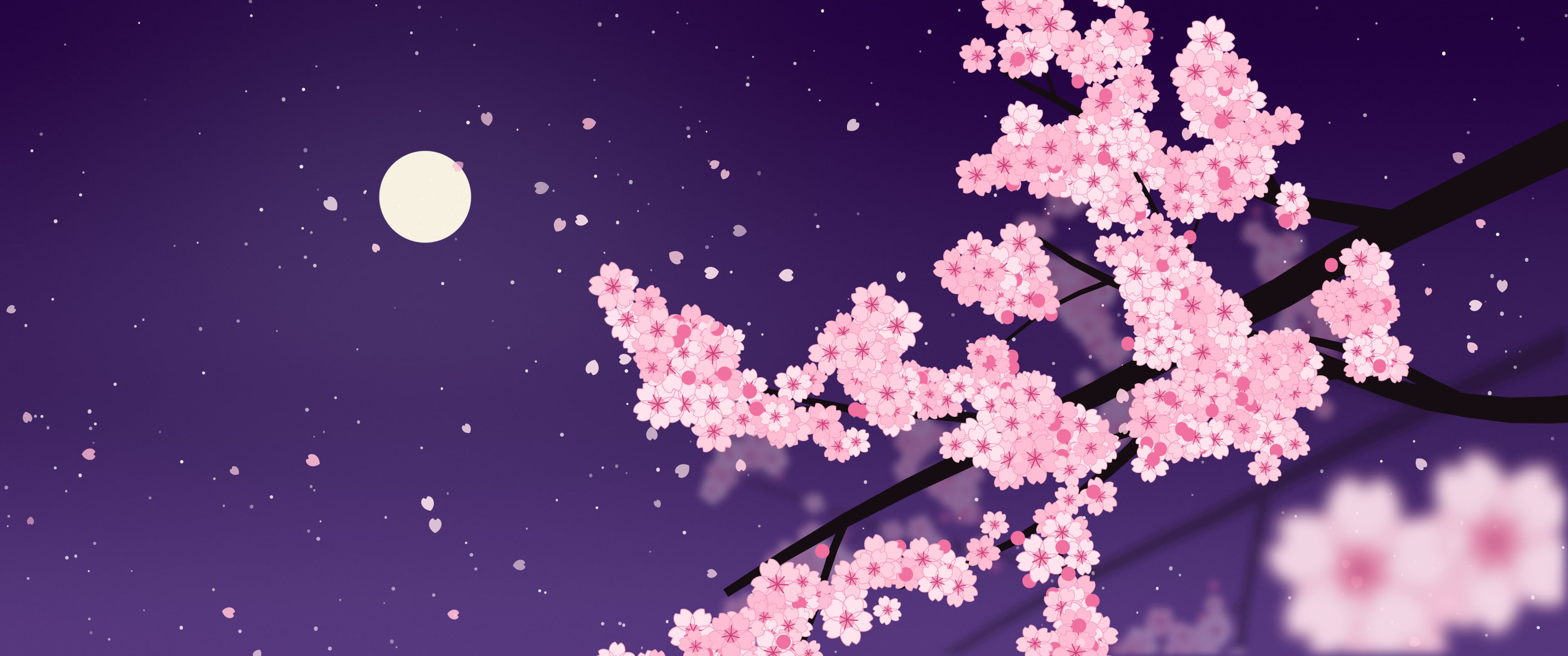 Dark Purple Cherry Blossom Branch ultrawide wallpaper, 3440 × 1440