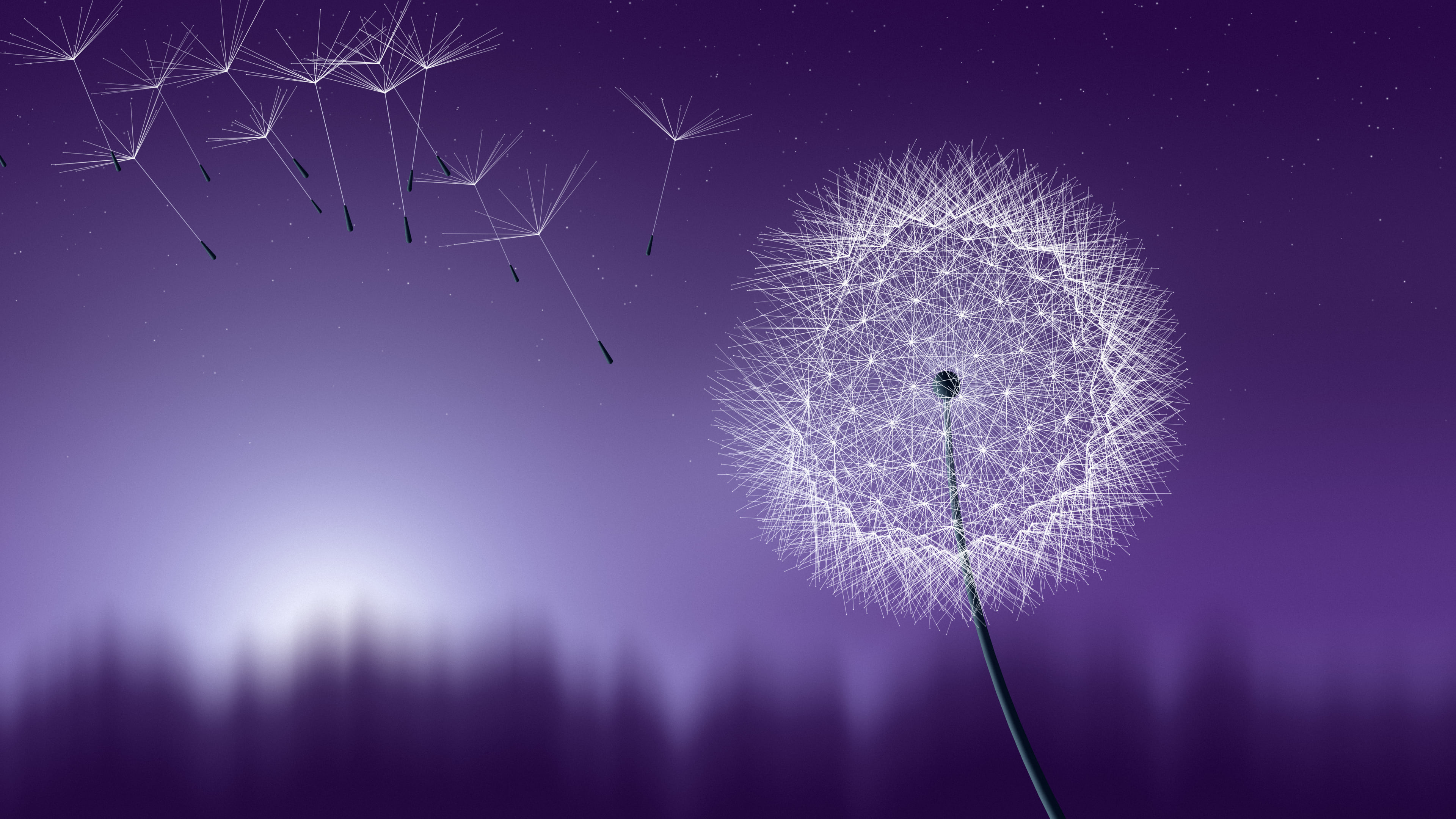 Dark Purple Dandelion desktop wallpaper in 4K
