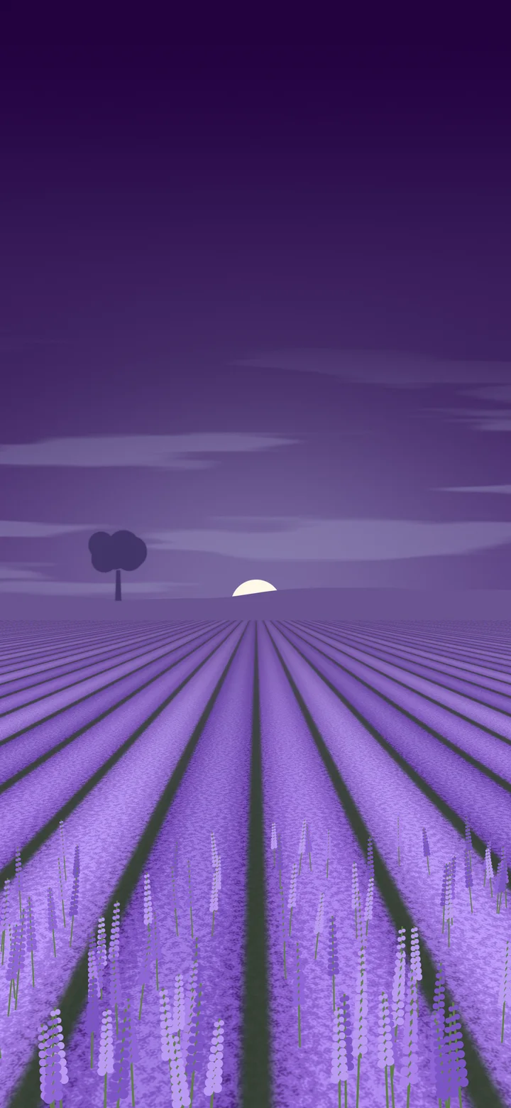 Dark Purple Lavender Field wallpaper for iPhone and Android