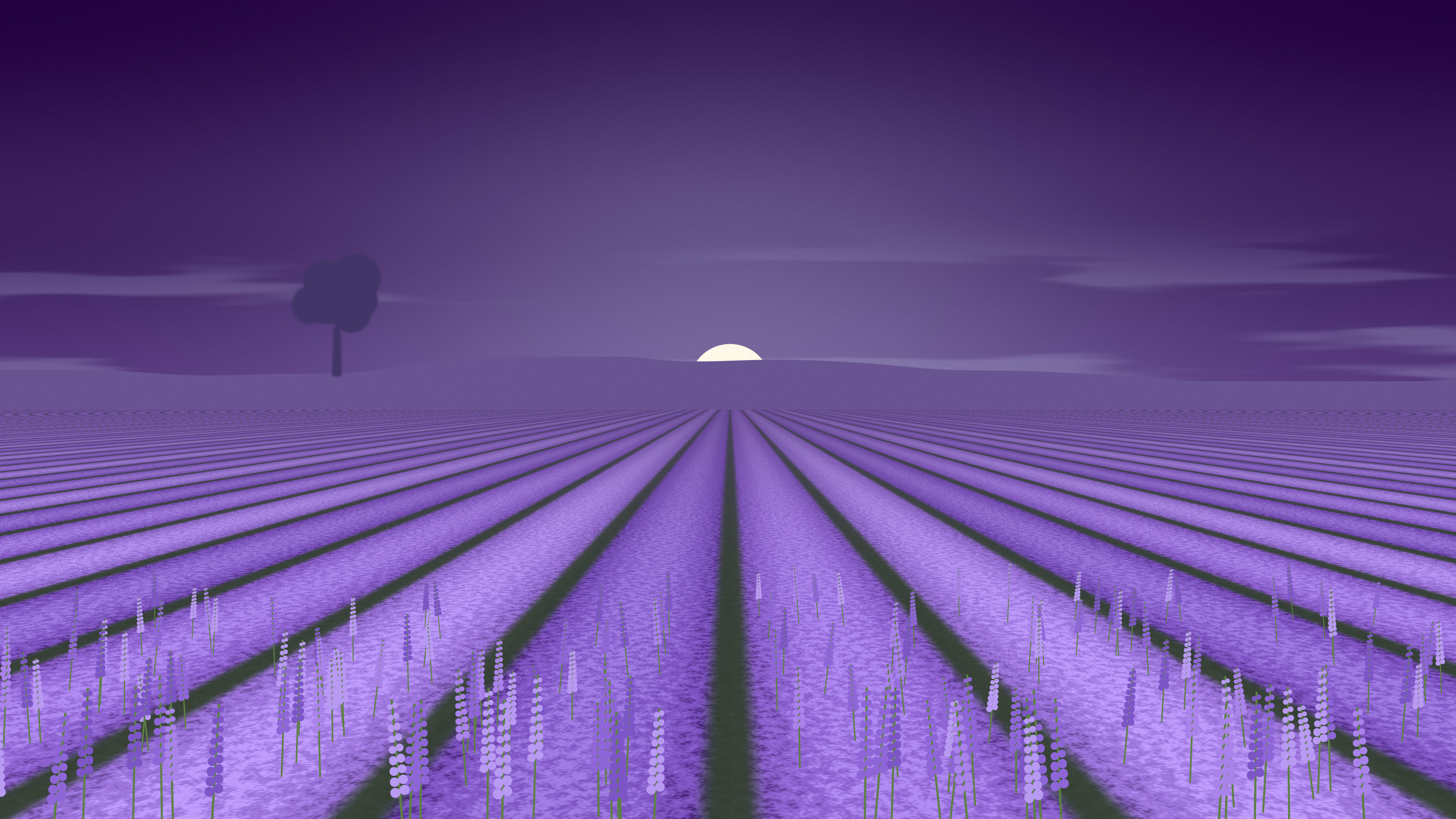 Dark Purple Lavender Field desktop wallpaper in 4K