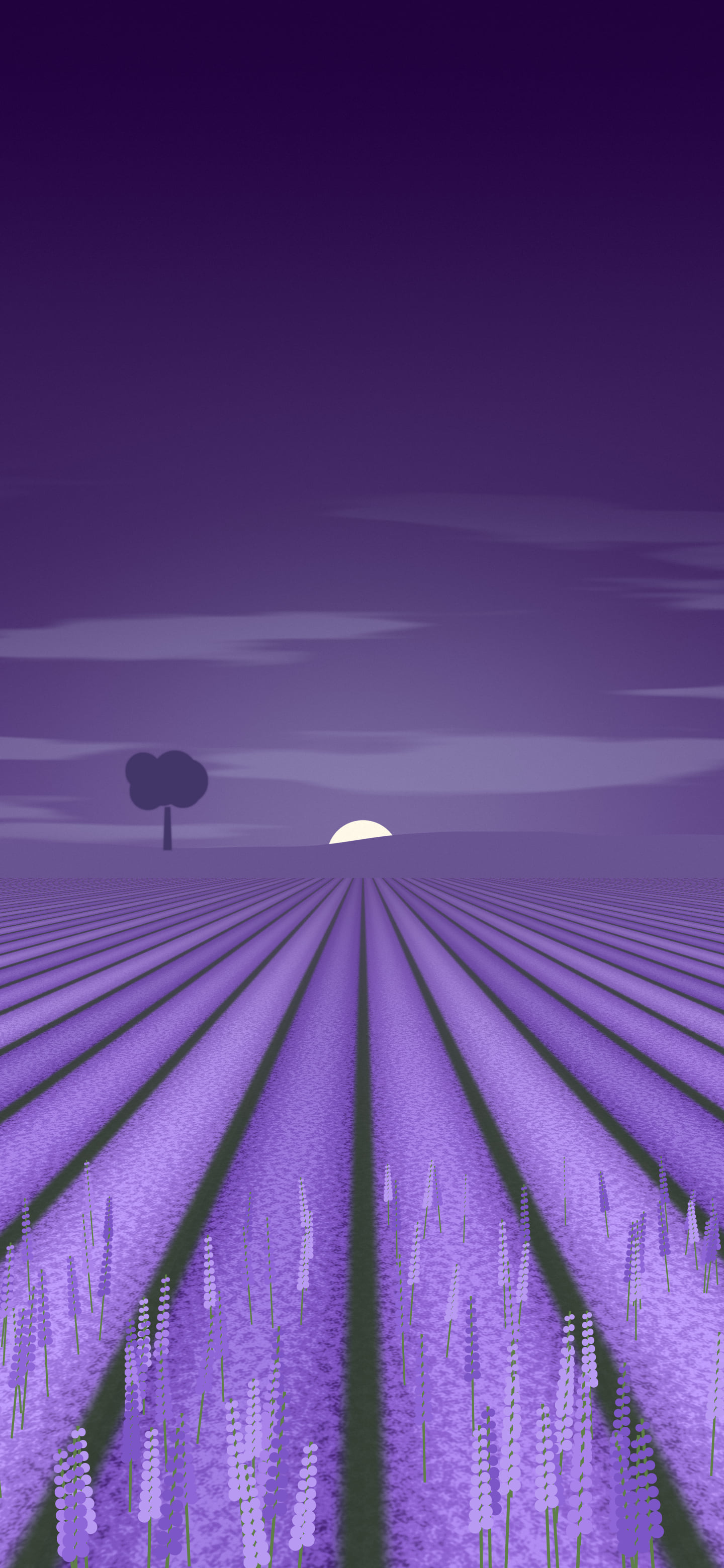 Dark Purple Lavender Field wallpaper for iPhone and Android