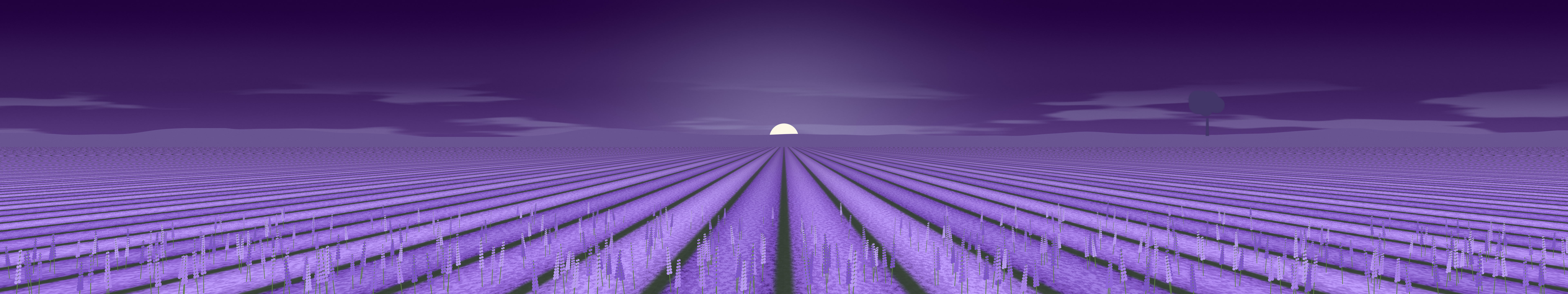 Dark Purple Lavender Field triple monitor wallpaper, 7680 × 1440