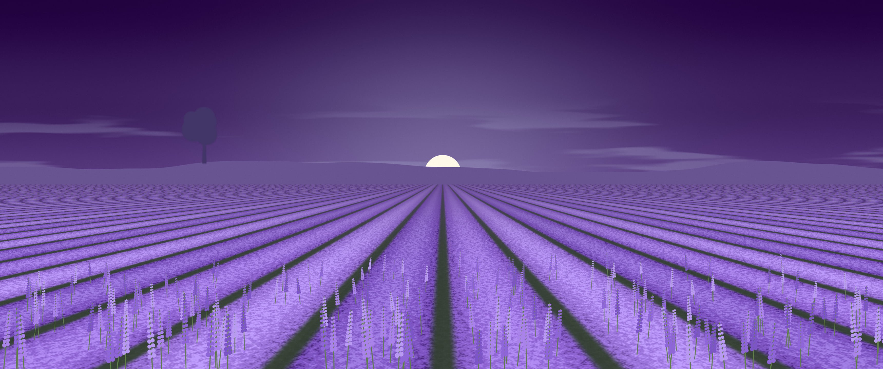 Dark Purple Lavender Field ultrawide wallpaper, 3440 × 1440