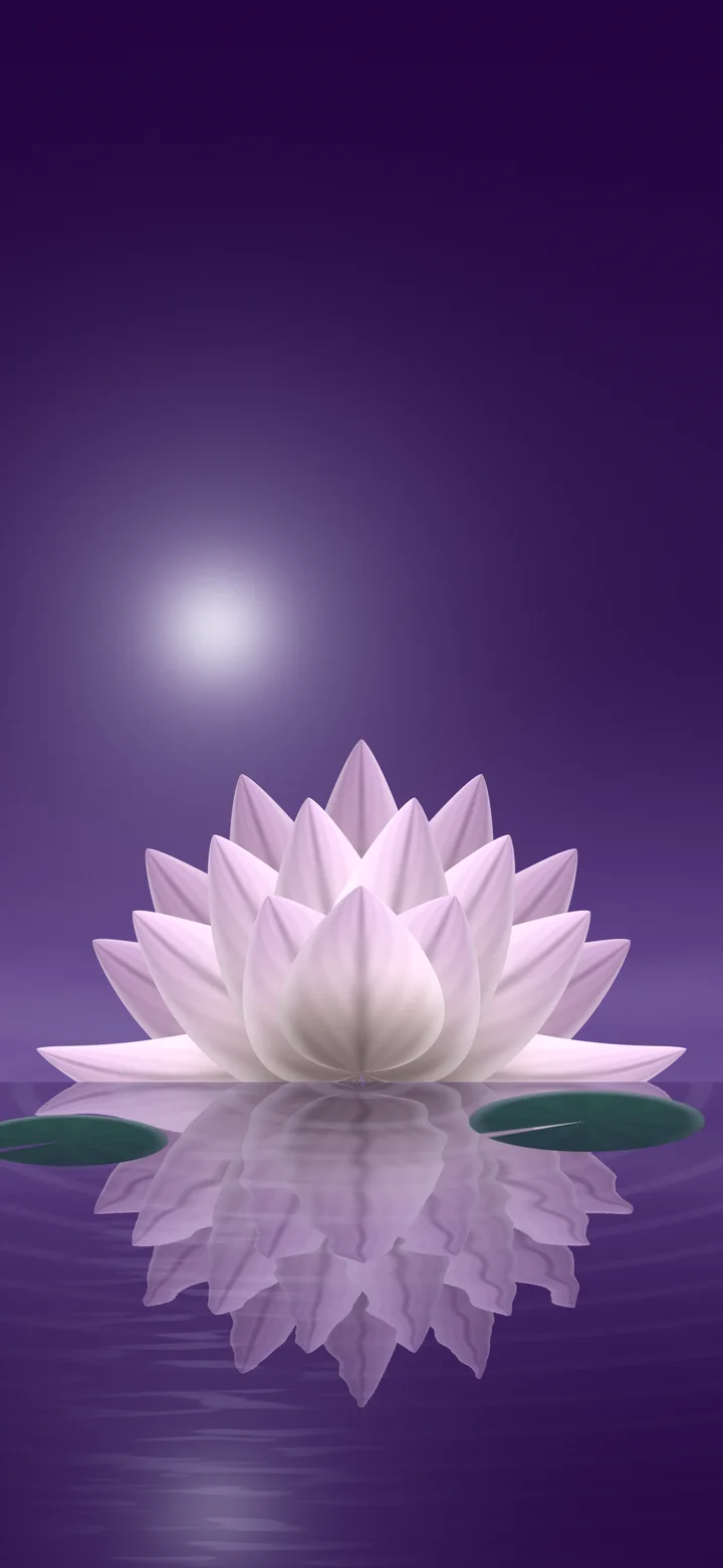 Dark Purple Lotus Flower wallpaper for iPhone and Android