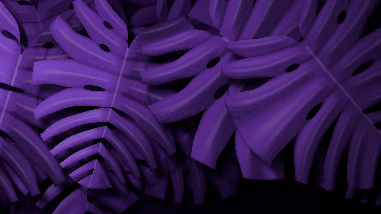 Dark Purple Monstera Leaves desktop wallpaper in 4K