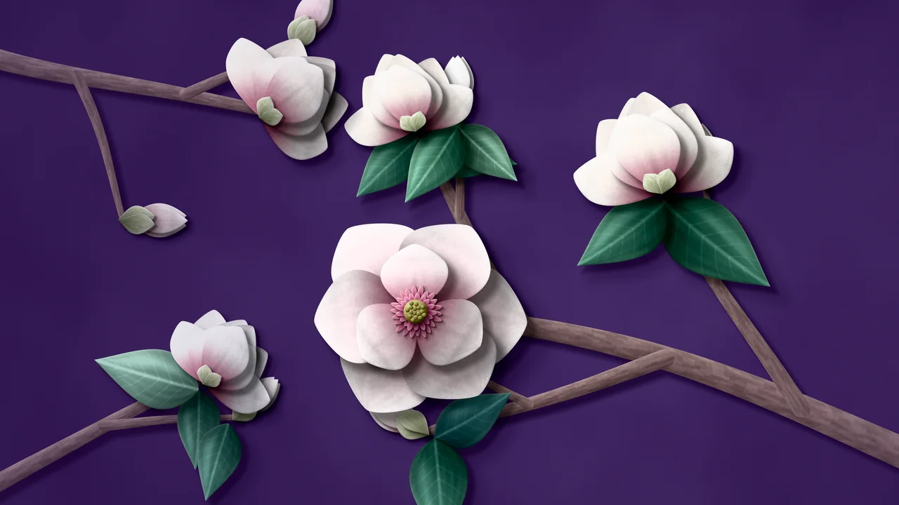 Dark Purple Paper Magnolia Branch desktop wallpaper in 4K