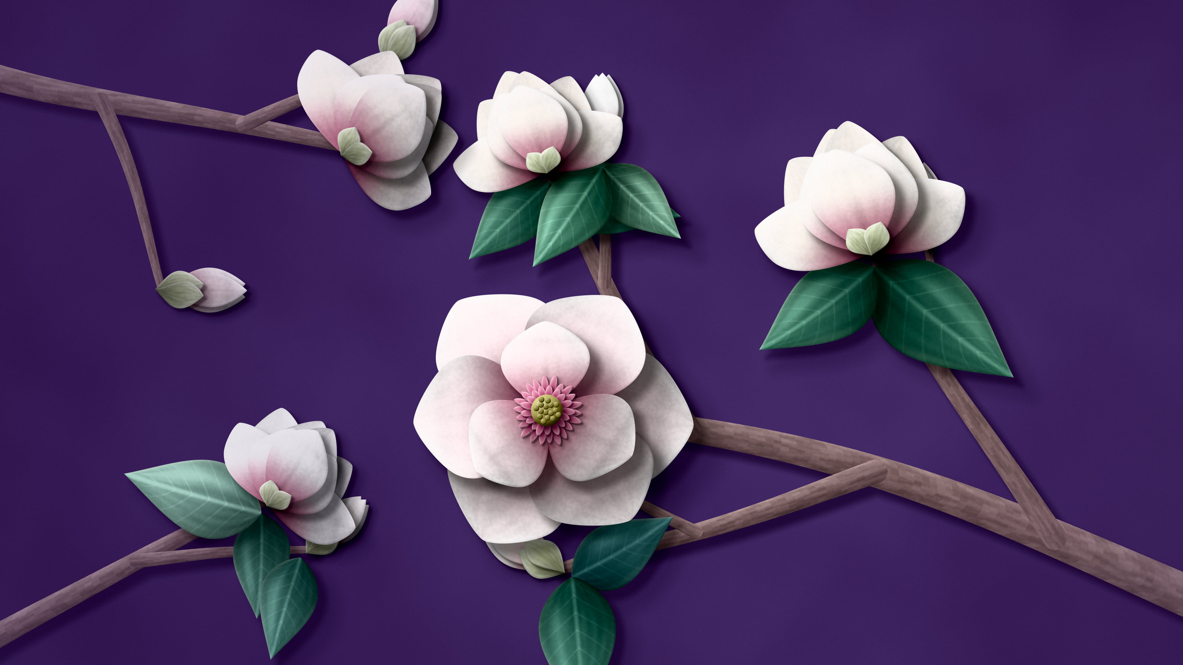 Dark Purple Paper Magnolia Branch desktop wallpaper in 4K