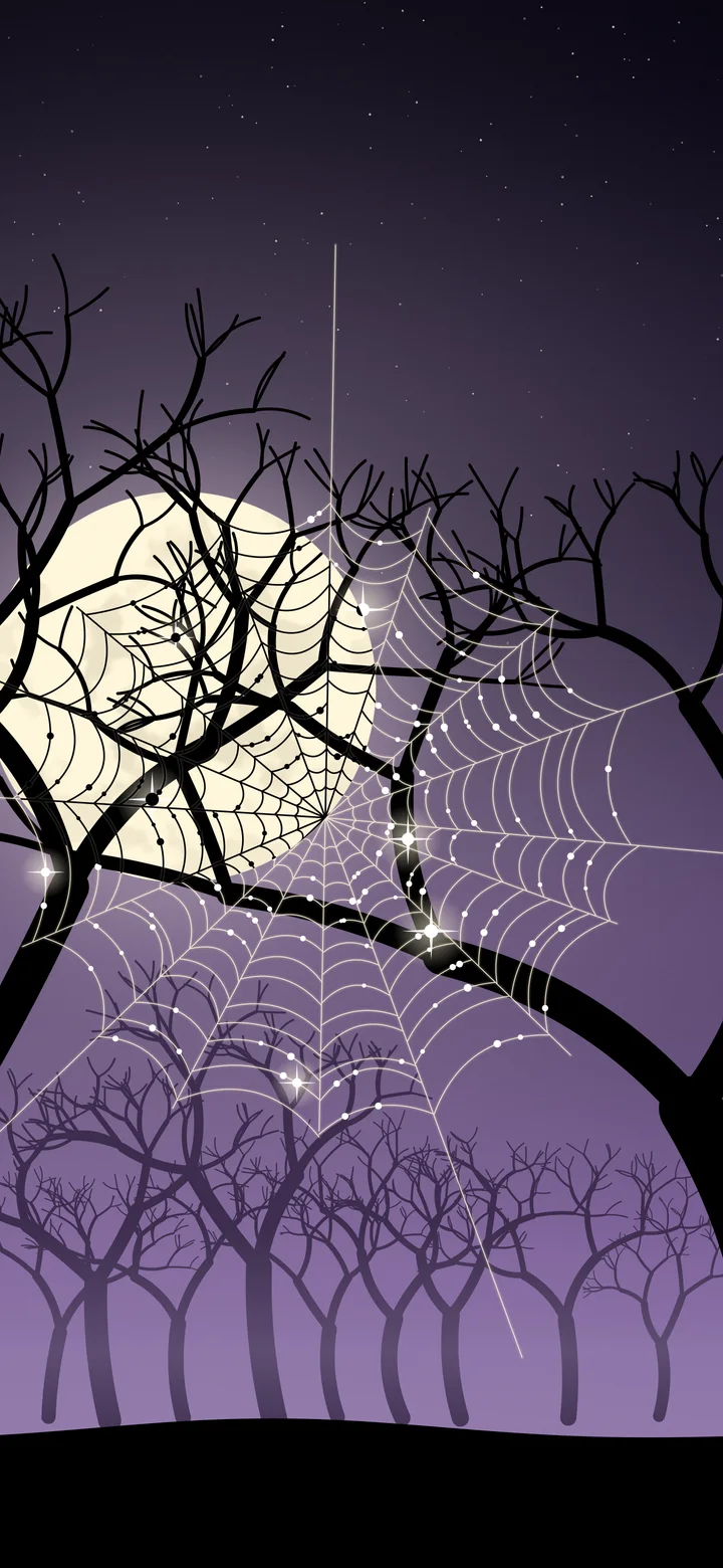 Dark Purple Spider Web wallpaper for iPhone and Android