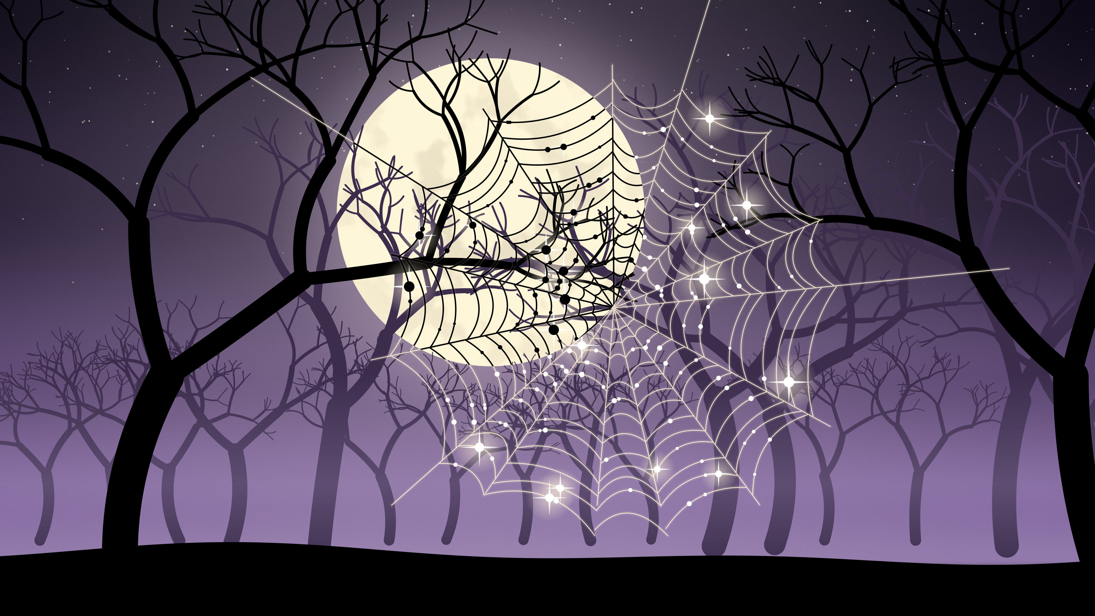 Dark Purple Spider Web desktop wallpaper in 4K