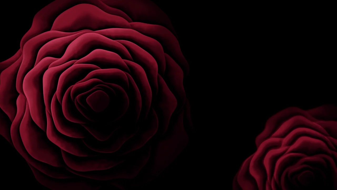 Dark Red Rose from Above desktop wallpaper in 4K