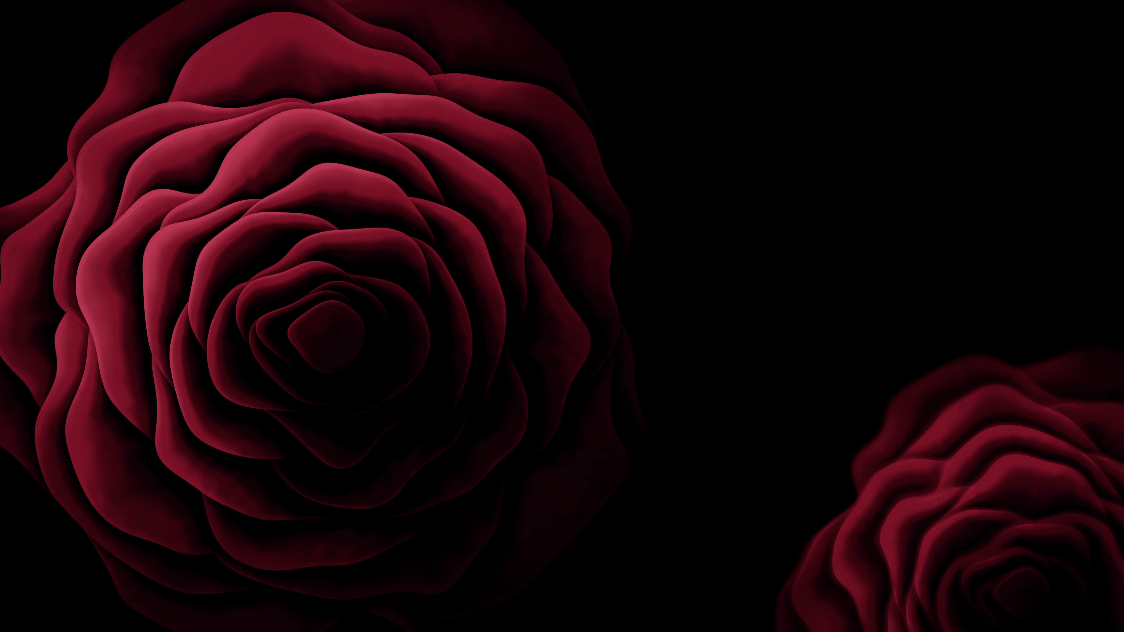 Dark Red Rose from Above desktop wallpaper in 4K